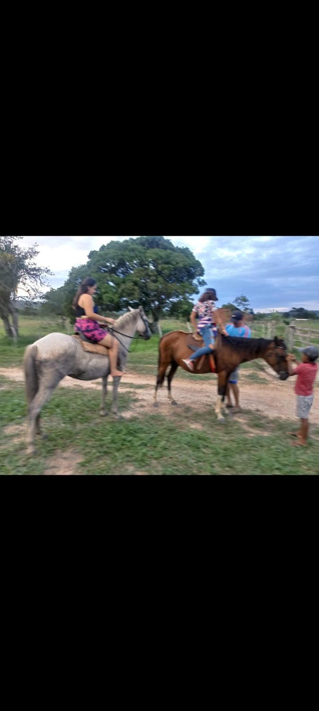 Chacara Suíça sergipana