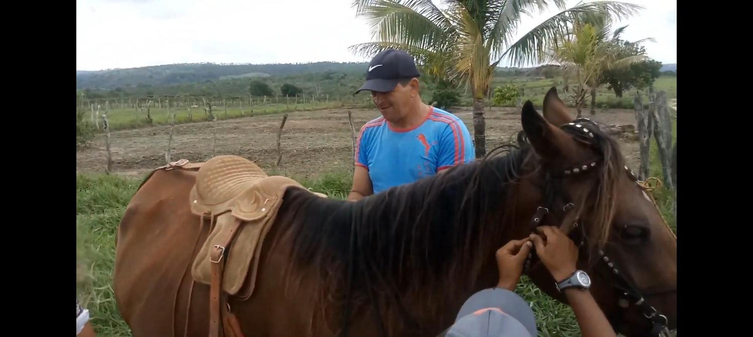 Chacara Suíça sergipana