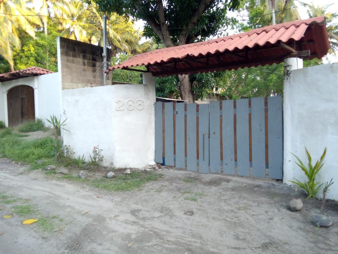 Photo 24