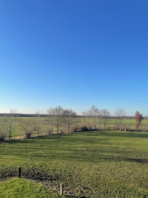 Het Bruineveld