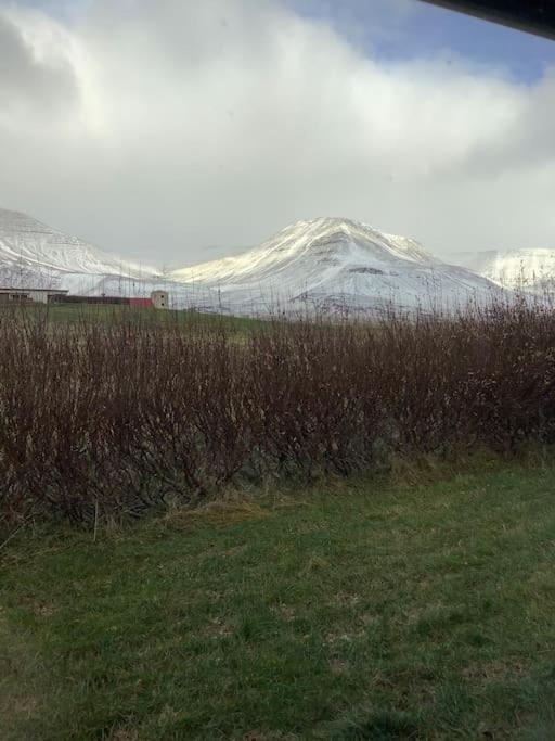 Hóll Guesthouse