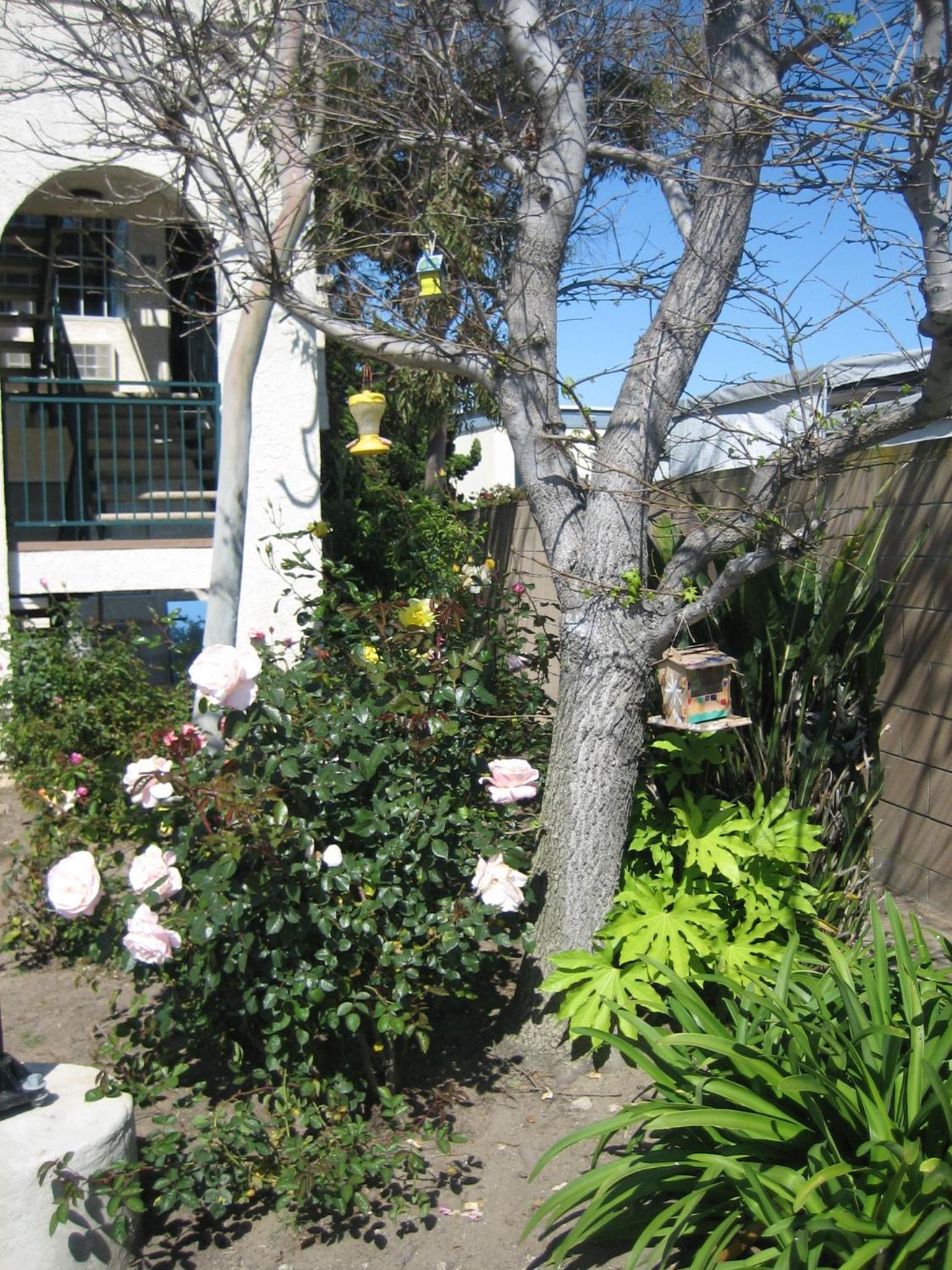 OceanView Motel