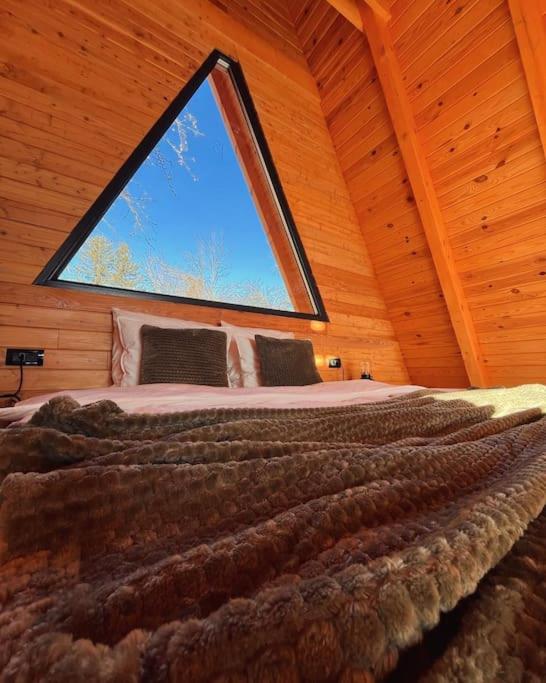 Old Nut Cabin