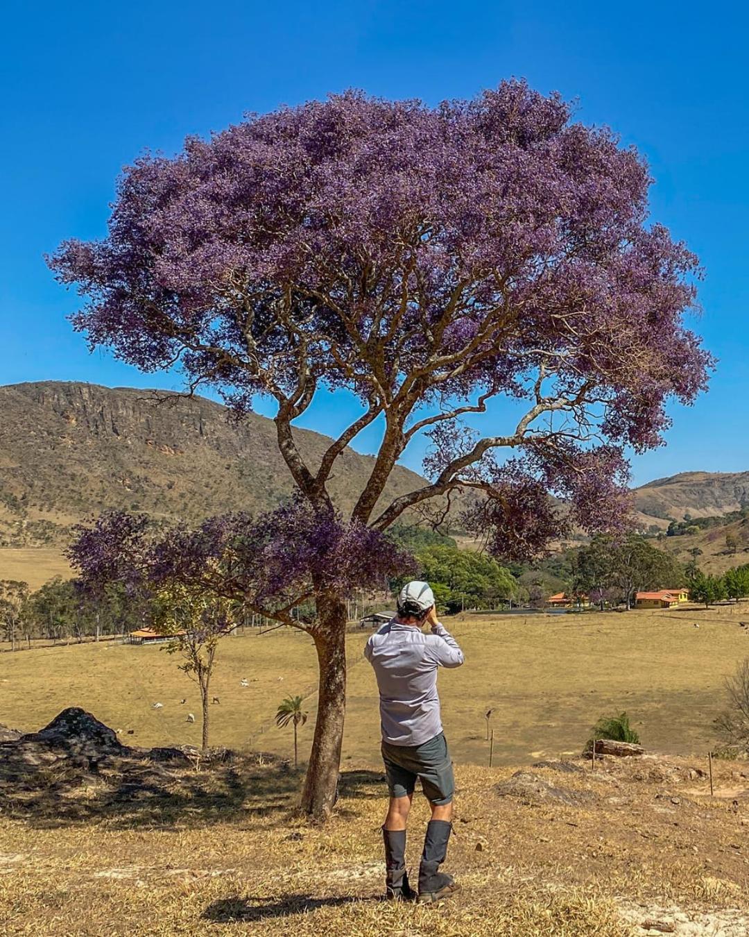 Estância Hidromineral Serra da Canastra - Delfinópolis MG