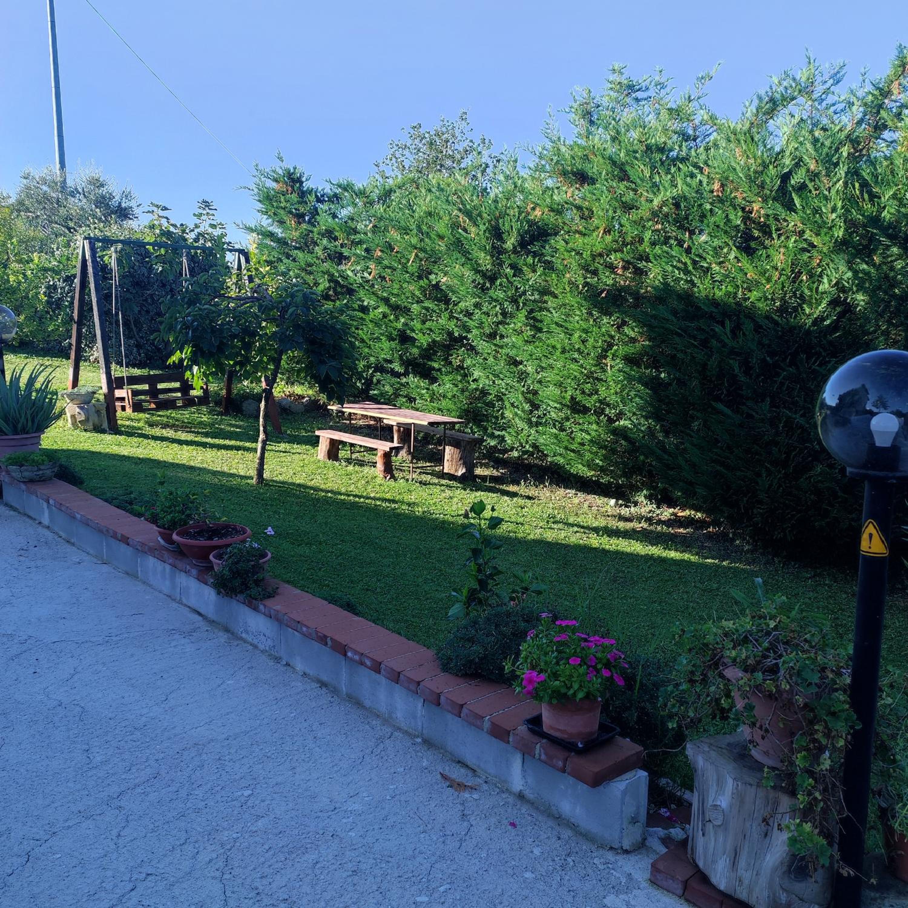 Photo 25