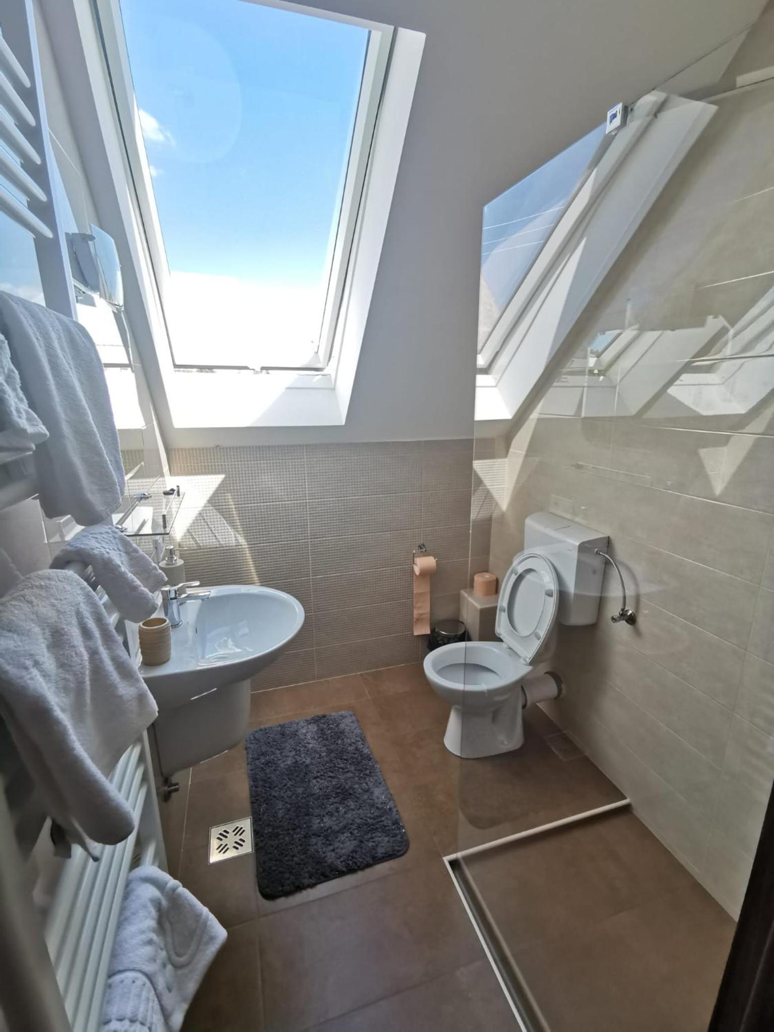 Floare de Colt Sapanta view 5