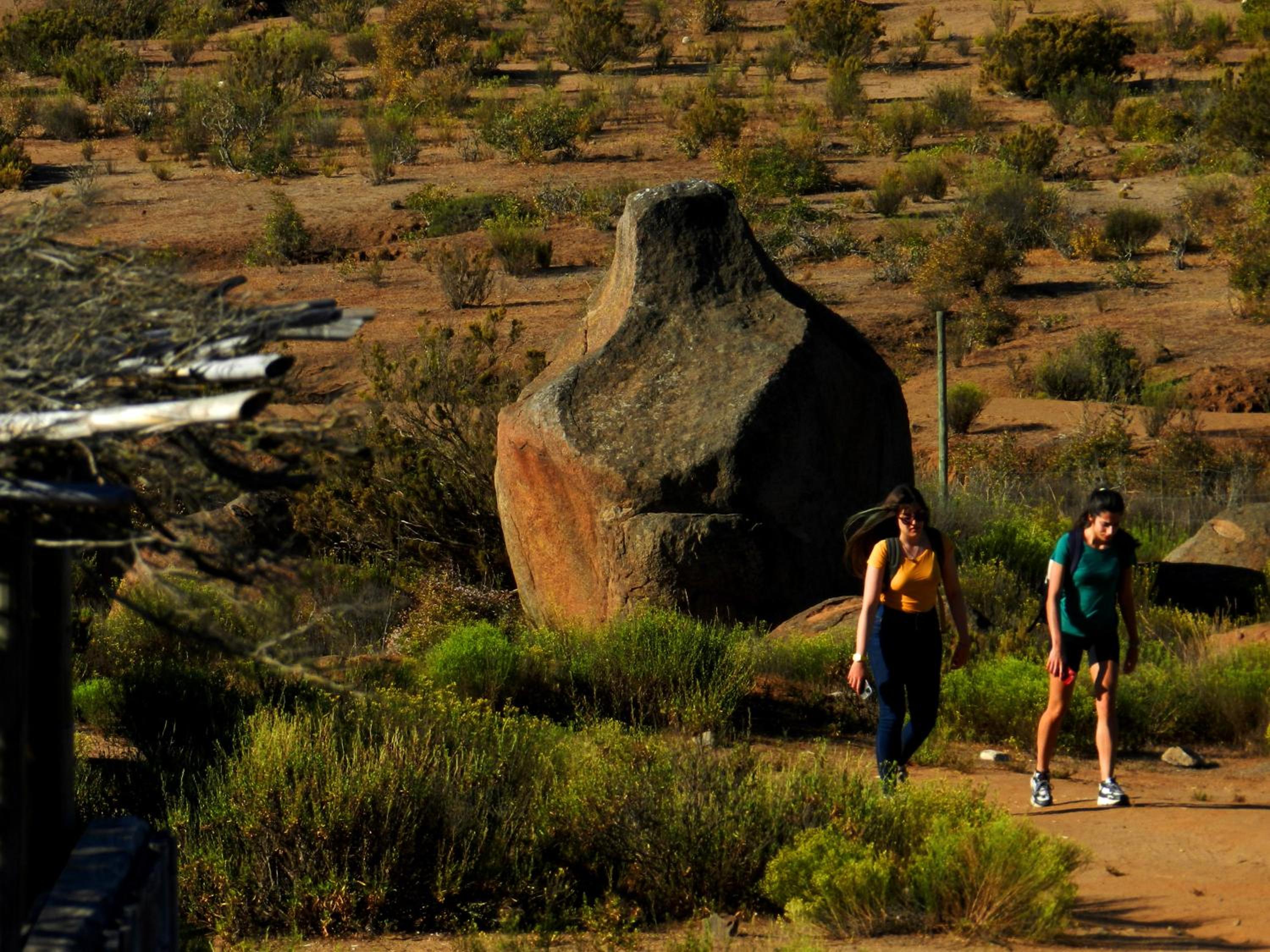Viento Sur Astro Camping & Cabañas