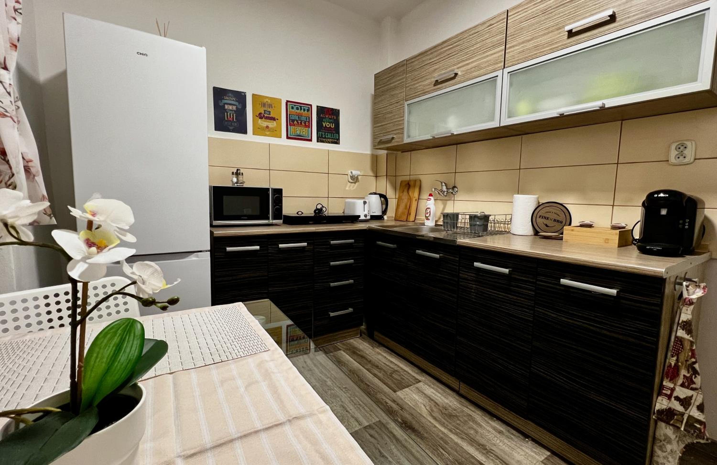 Black Lotus 1 I Downtown Apartment I Free Parking I 24hr Access view 5