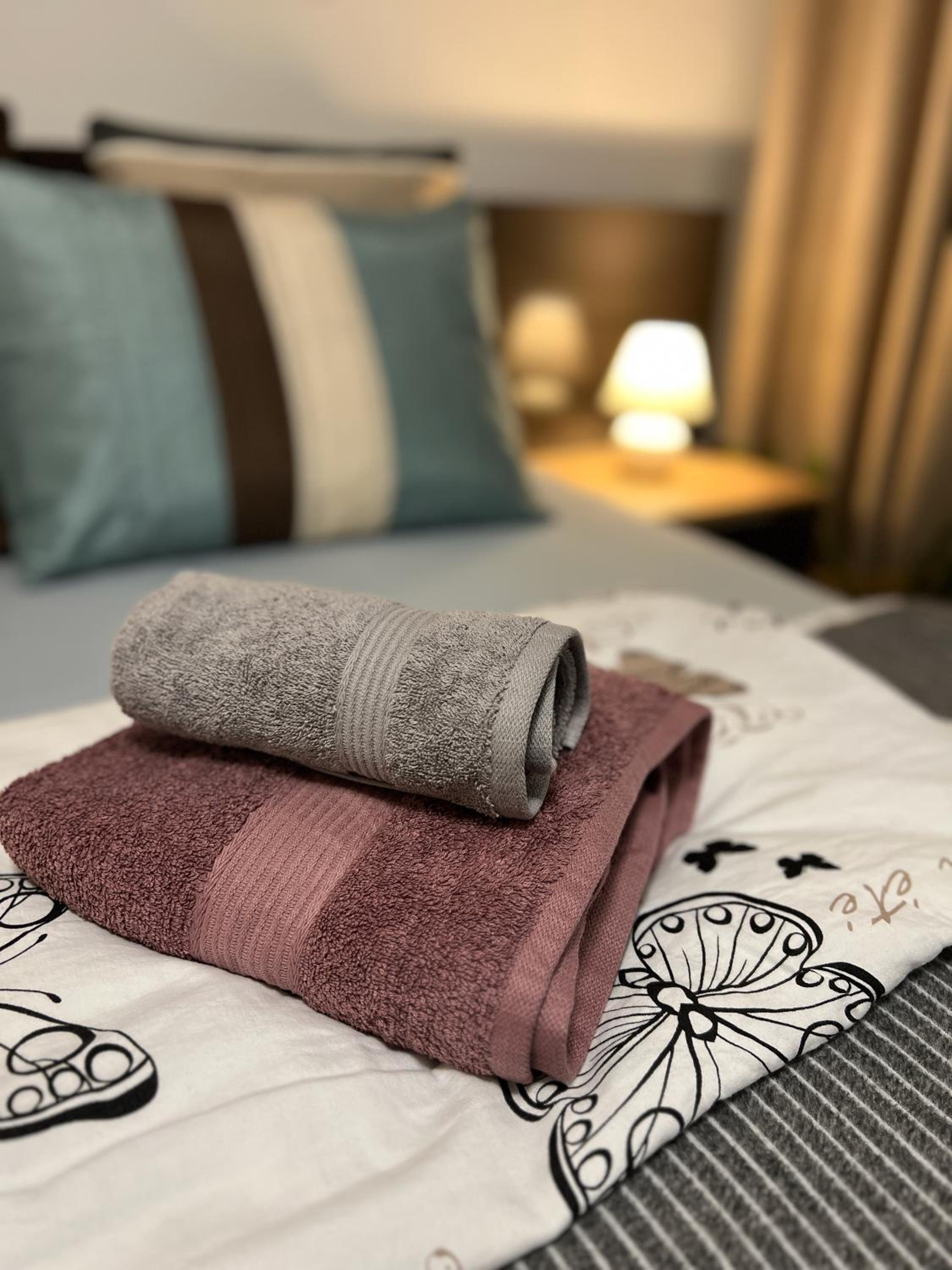 Black Lotus 1 I Downtown Apartment I Free Parking I 24hr Access view 3