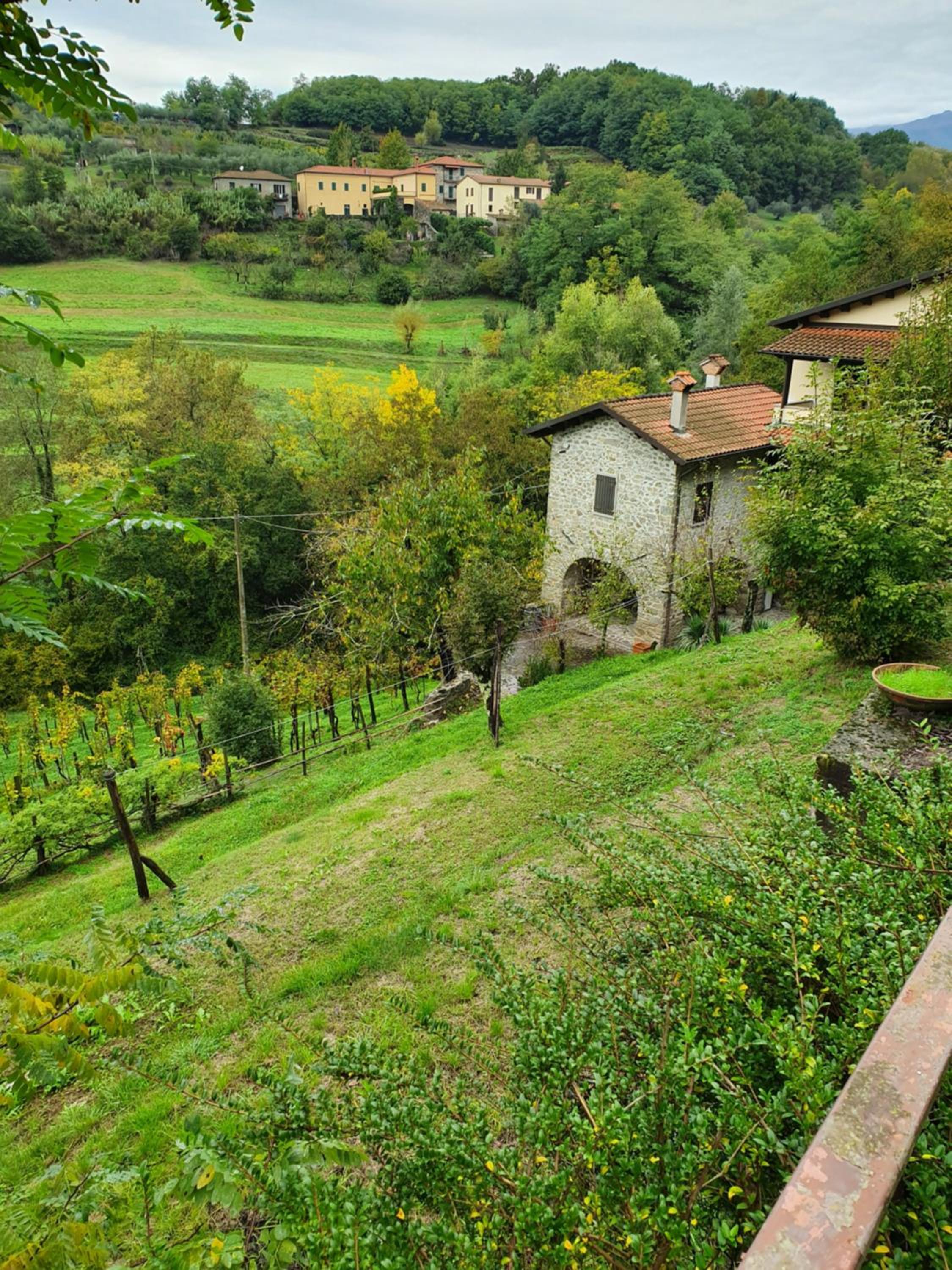 Il Casale di Ernestina view 3