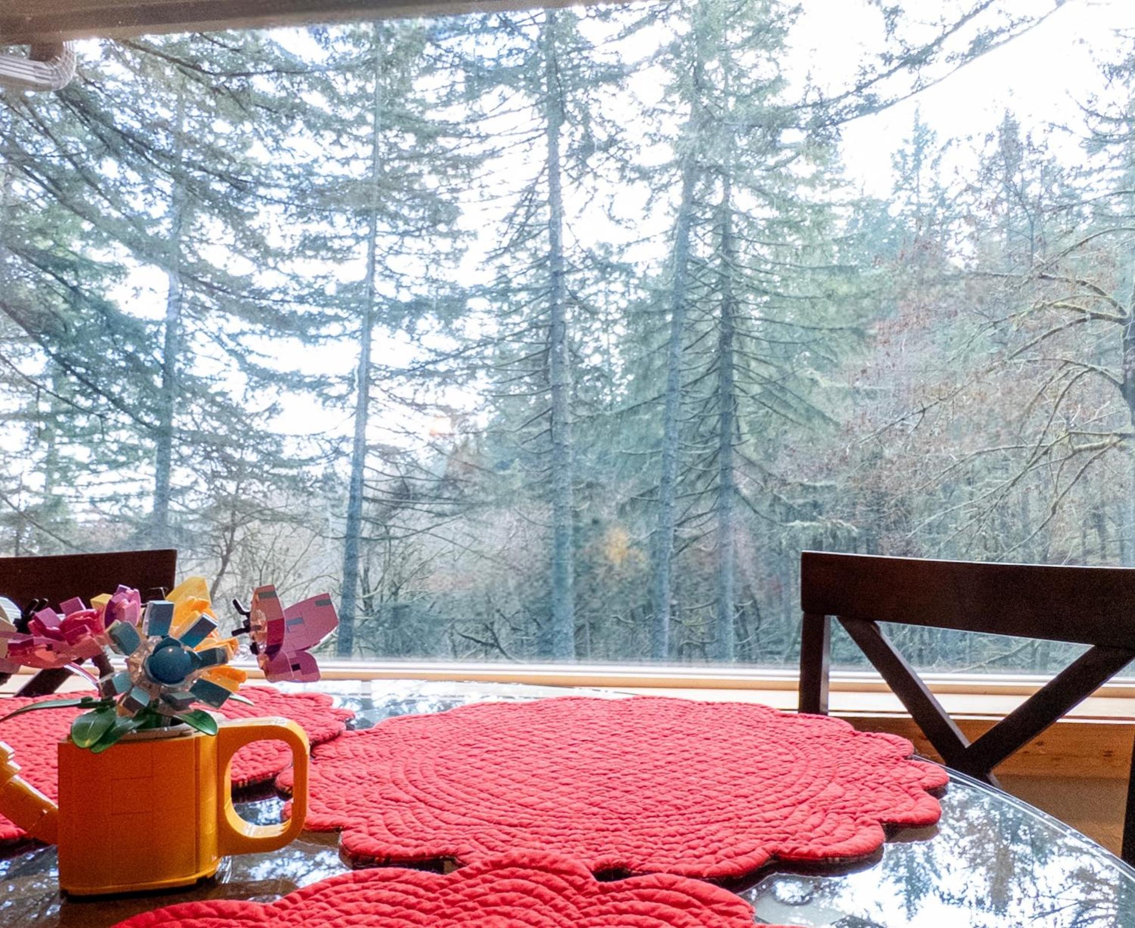 Albany Vacations - The Mountain House - Property Image 4