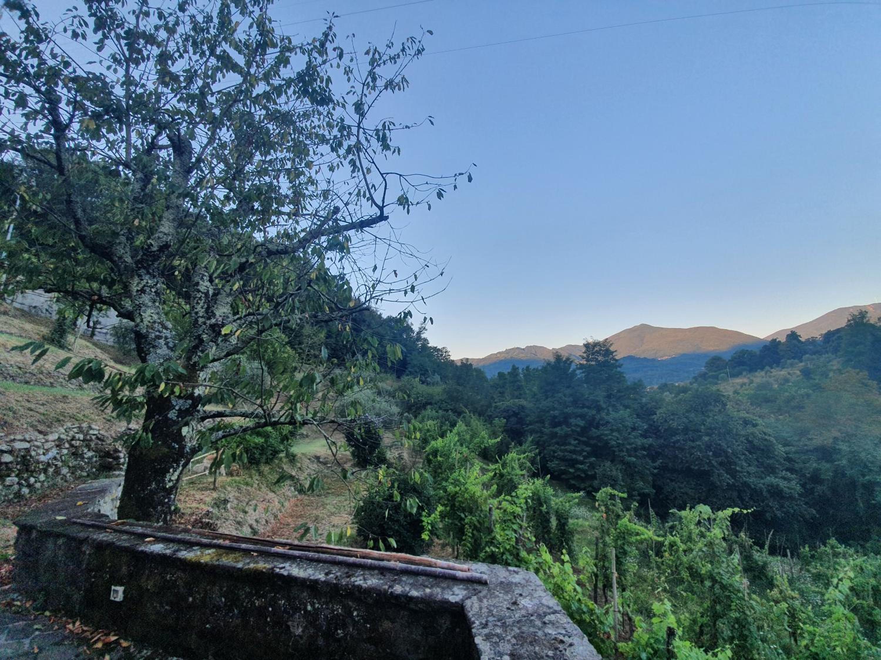 Il Casale di Ernestina view 5