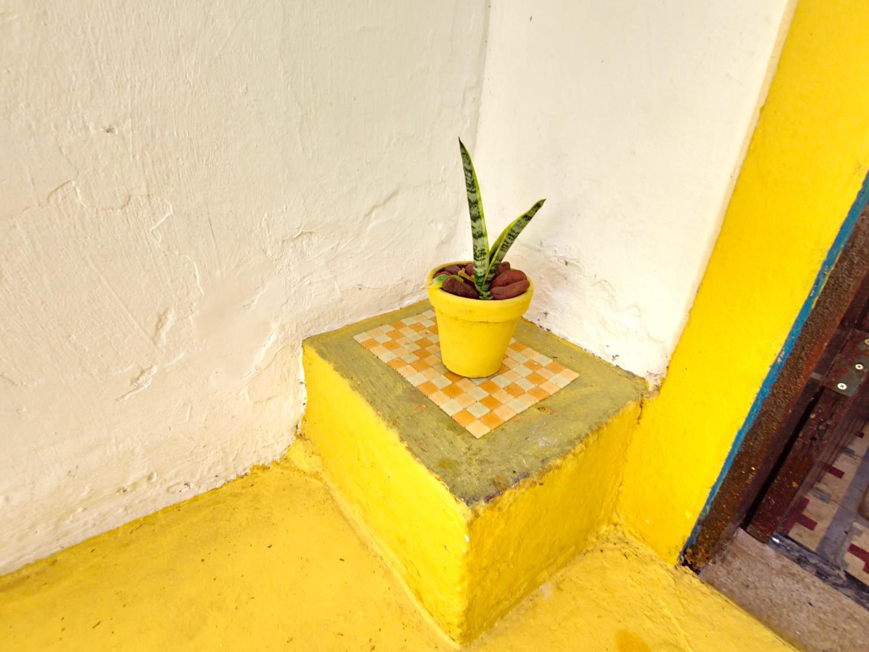 Casa Guio