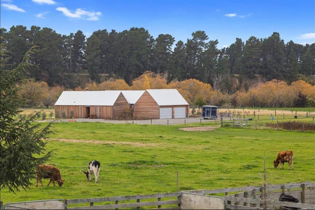 Luxury Country Retreat Te Whare Waipara