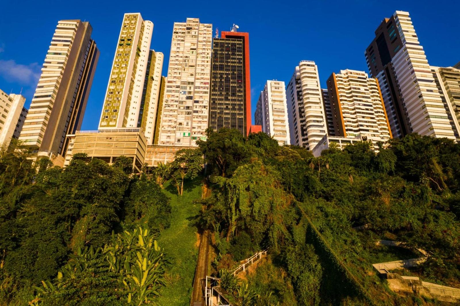 Sol vitória Marina