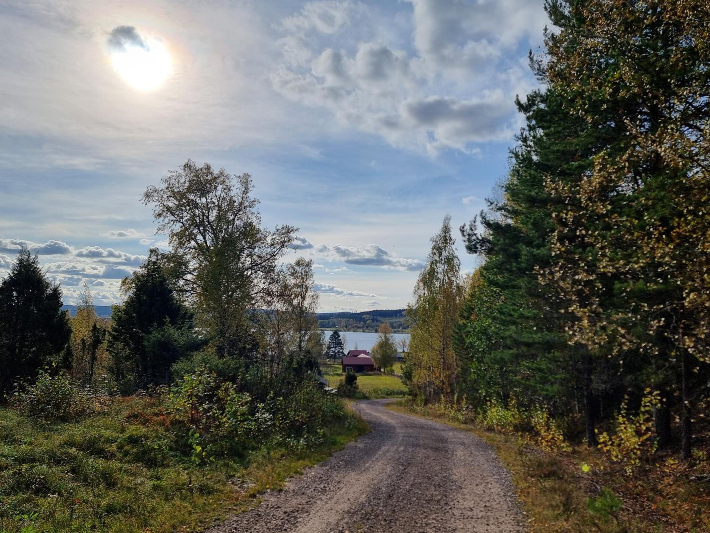 Photo 33