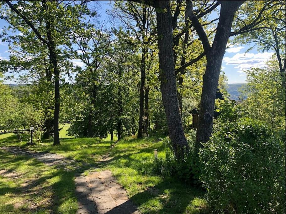 Panoramablick