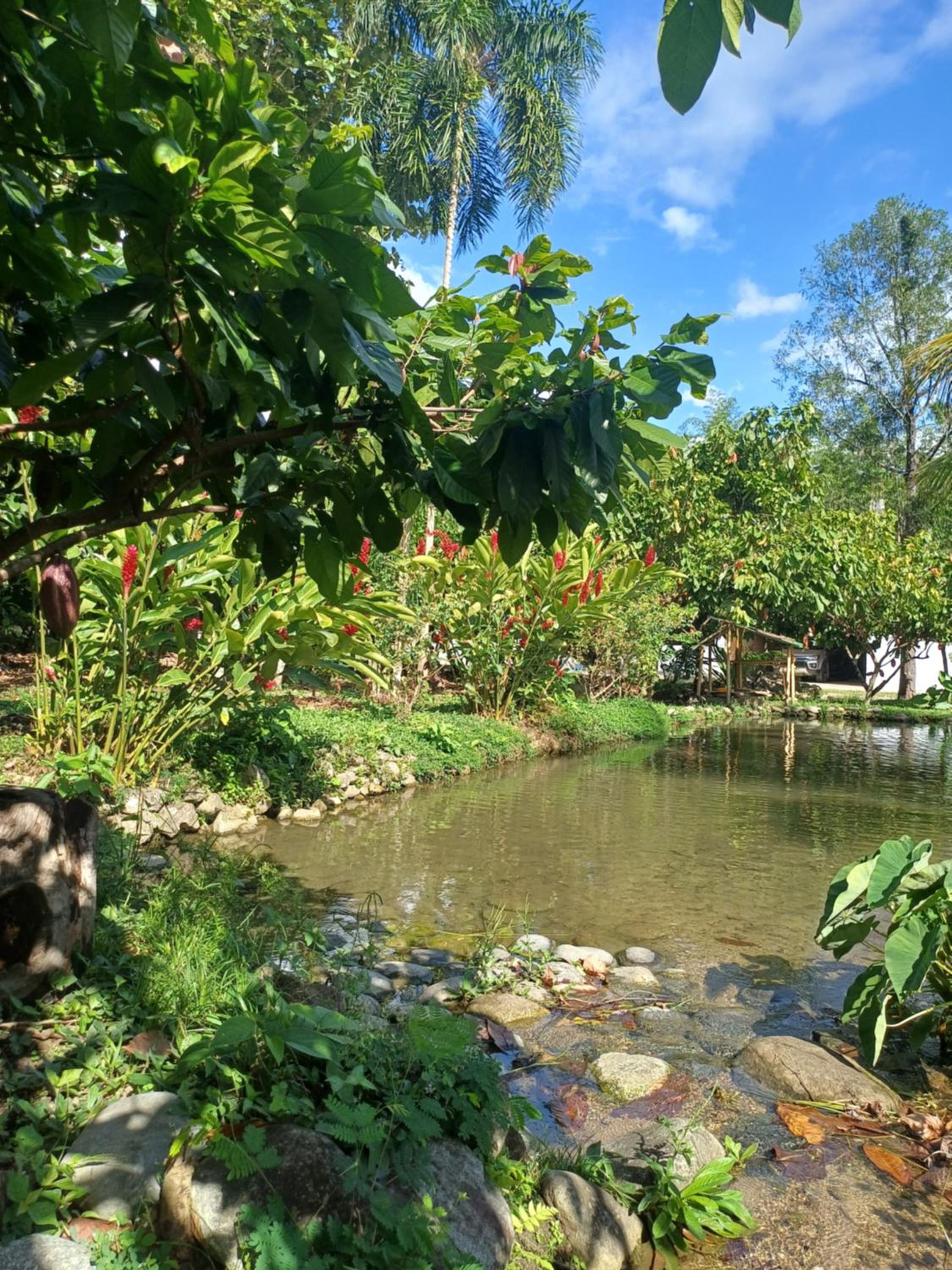Photo 49