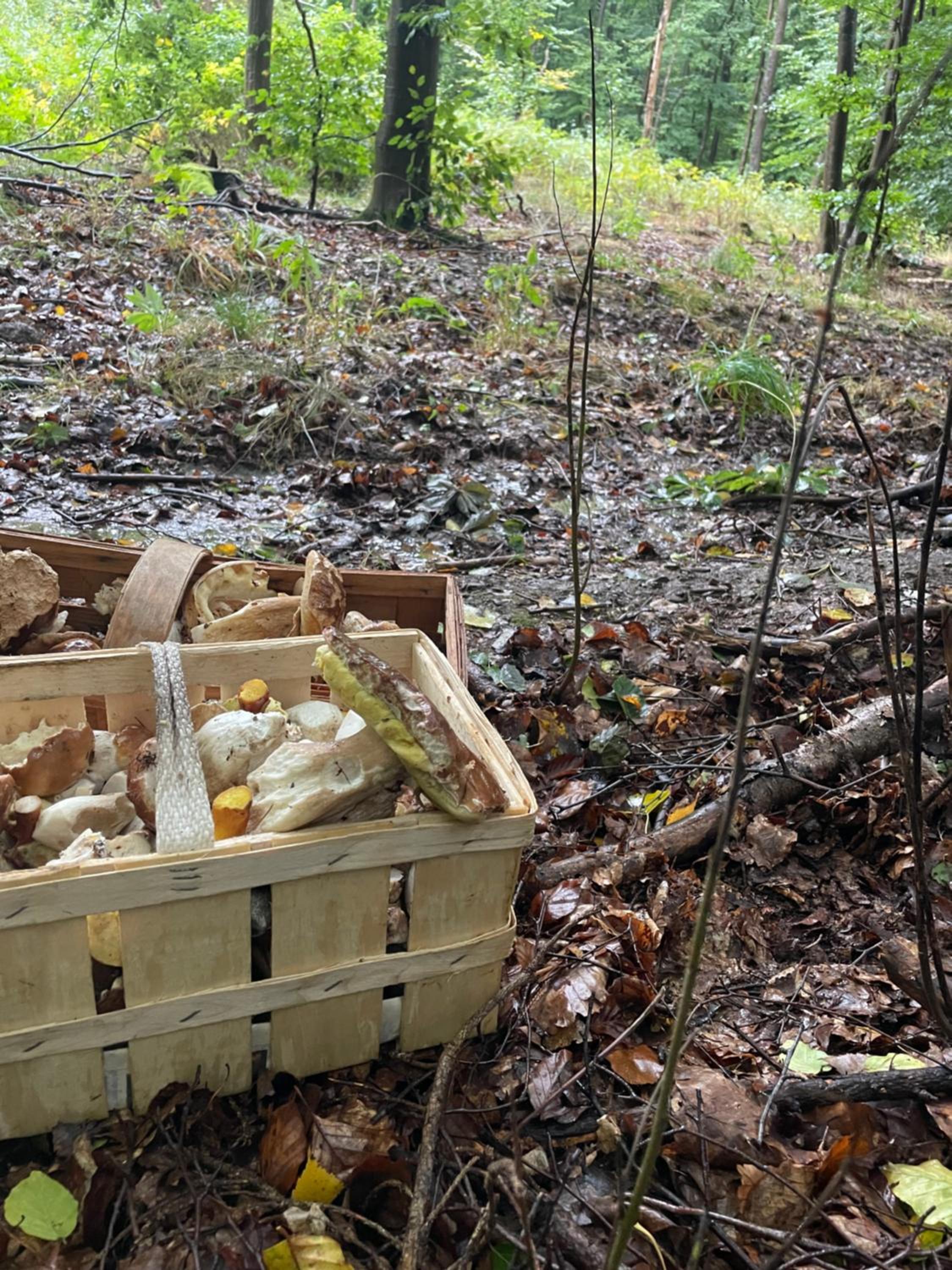 Naturidyll Teufelsmauer