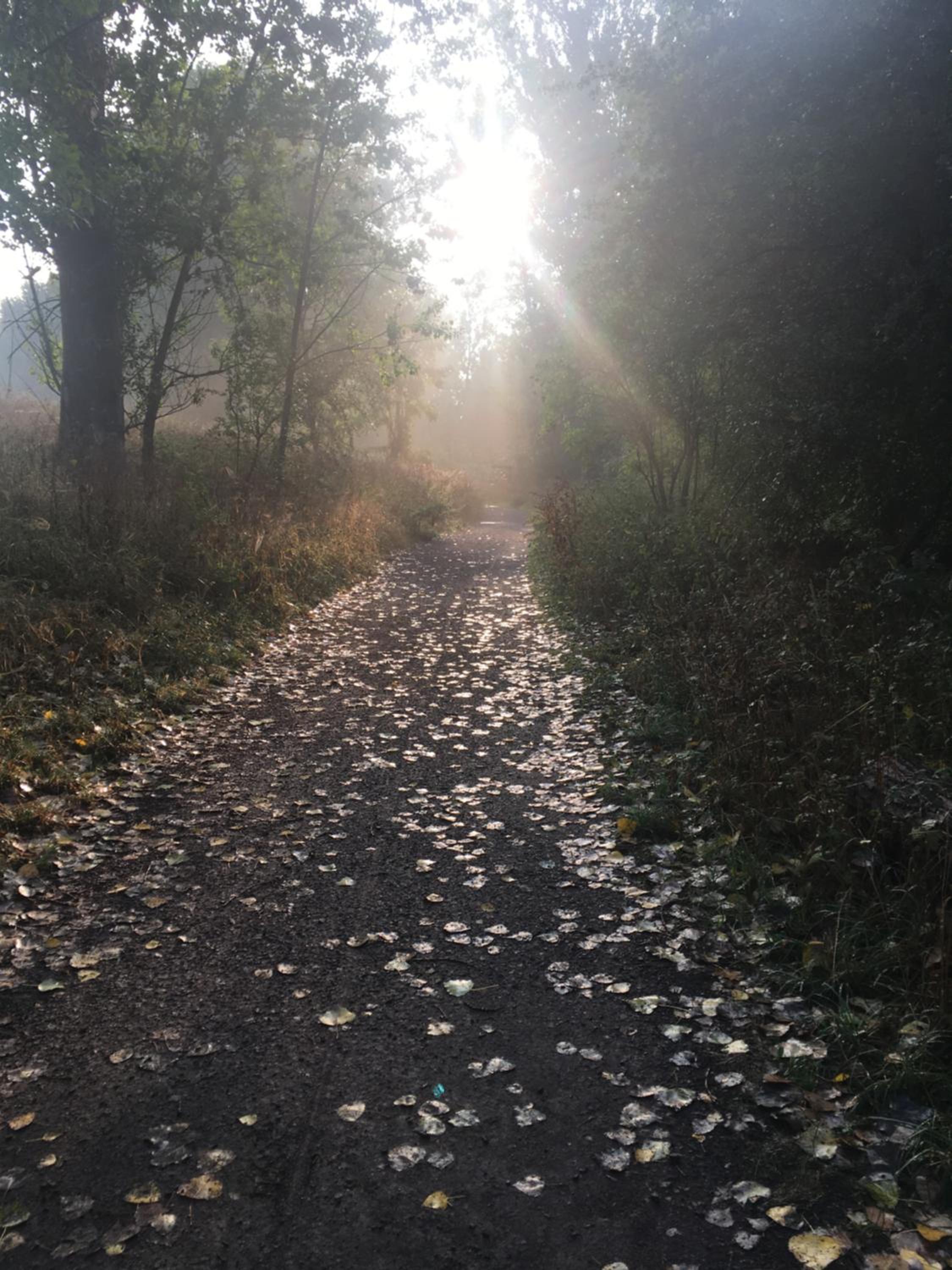 Naturidyll Teufelsmauer