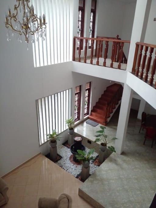 Newlook Holiday Bungalow-Matale