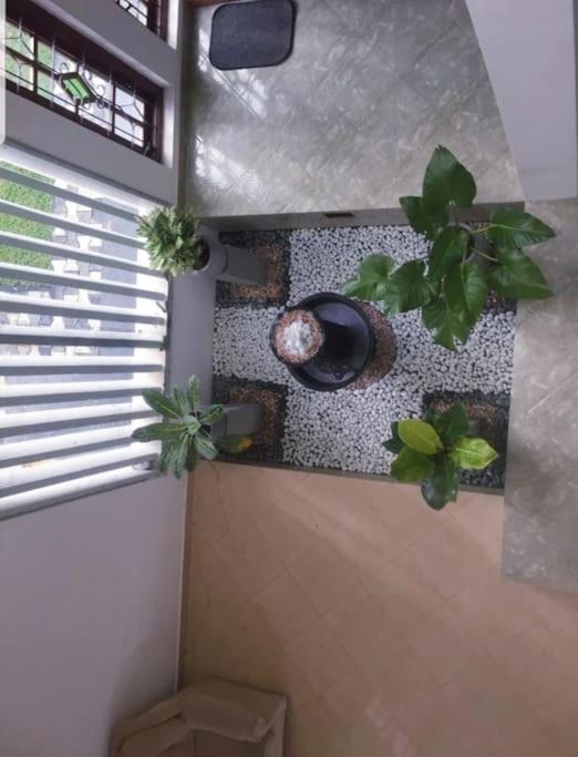 Newlook Holiday Bungalow-Matale