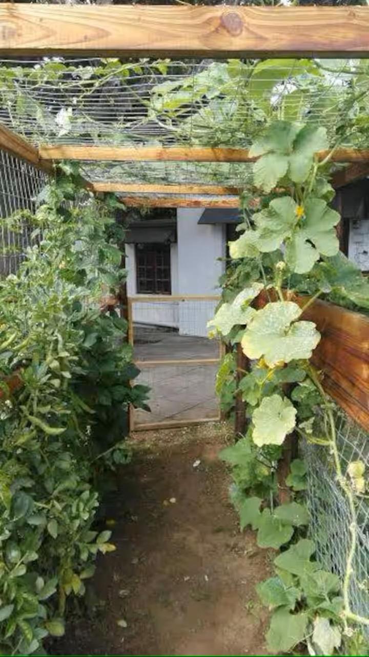 Urban Gardens