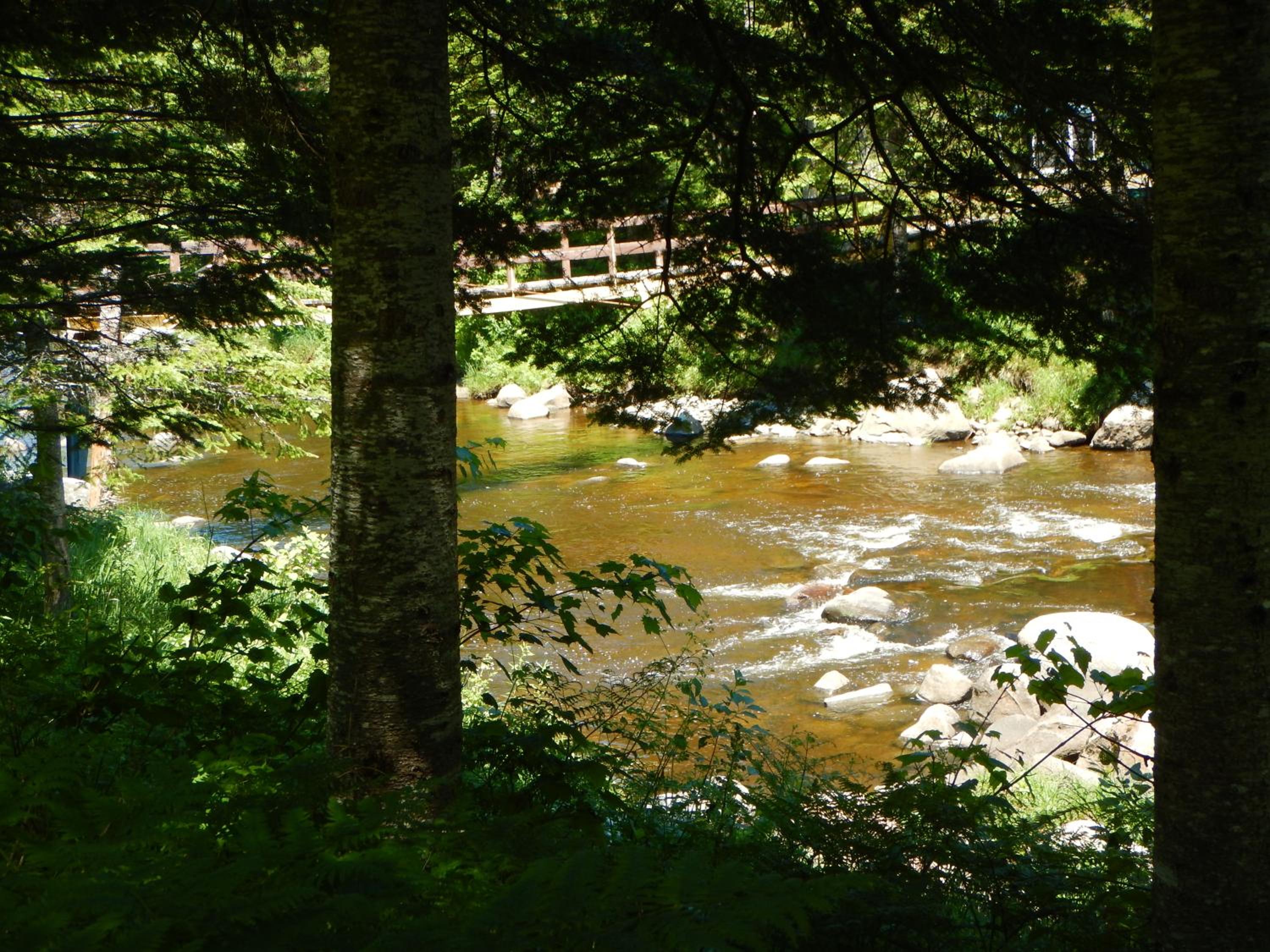 Photo 40