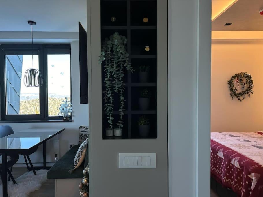 Apartment 505 - Zlatni javor