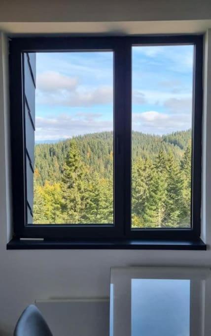 Apartment 505 - Zlatni javor
