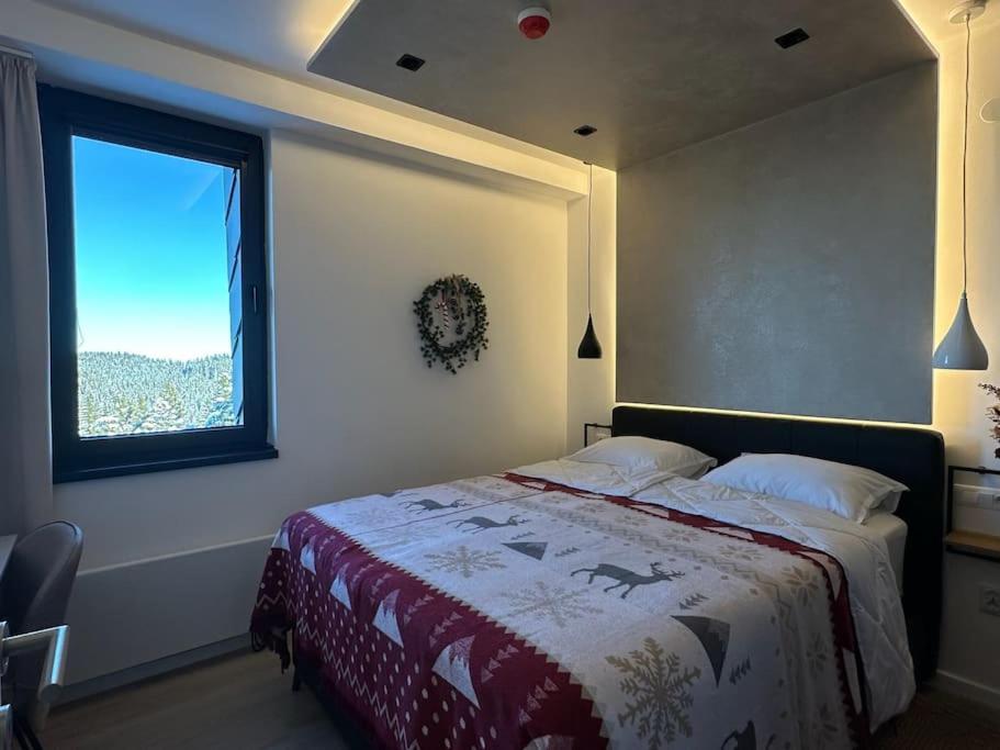 Apartment 505 - Zlatni javor