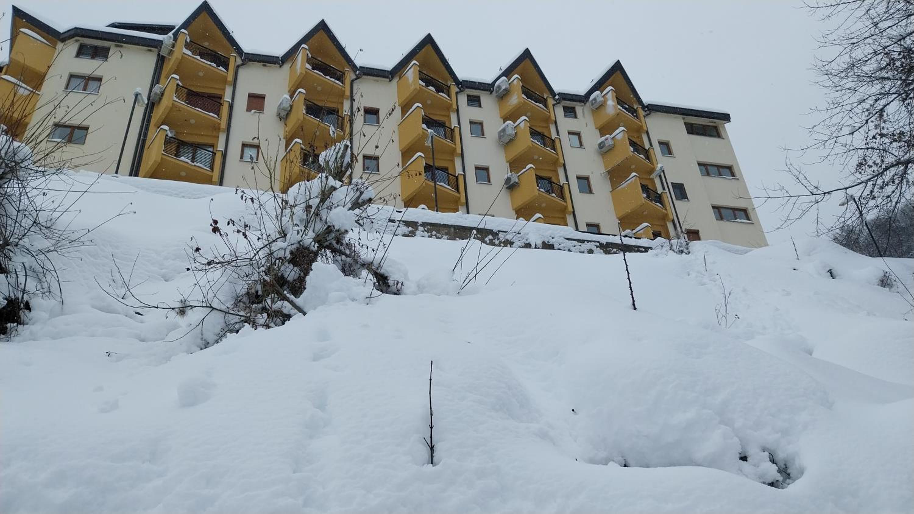 Novak Apartment