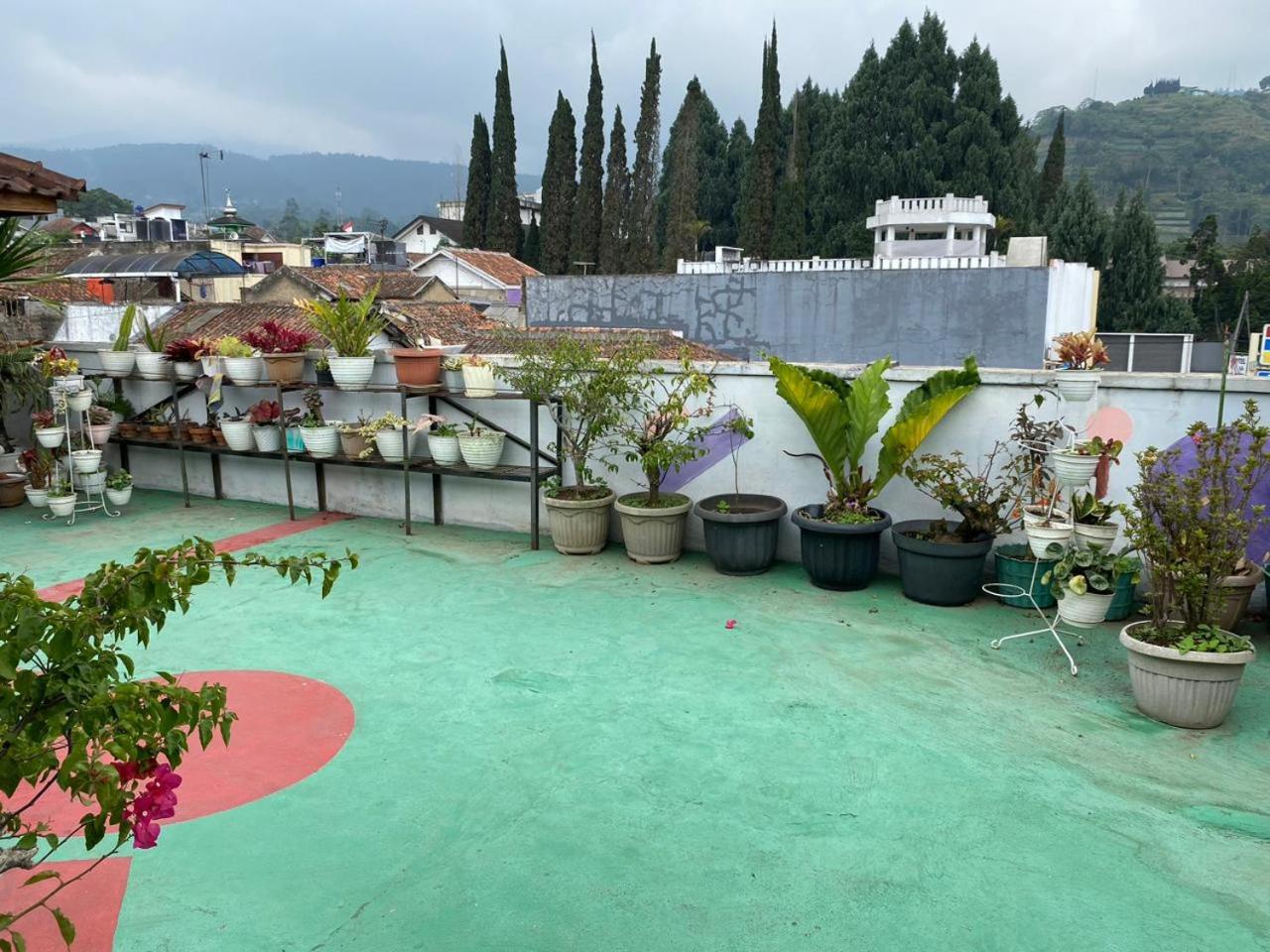 roof