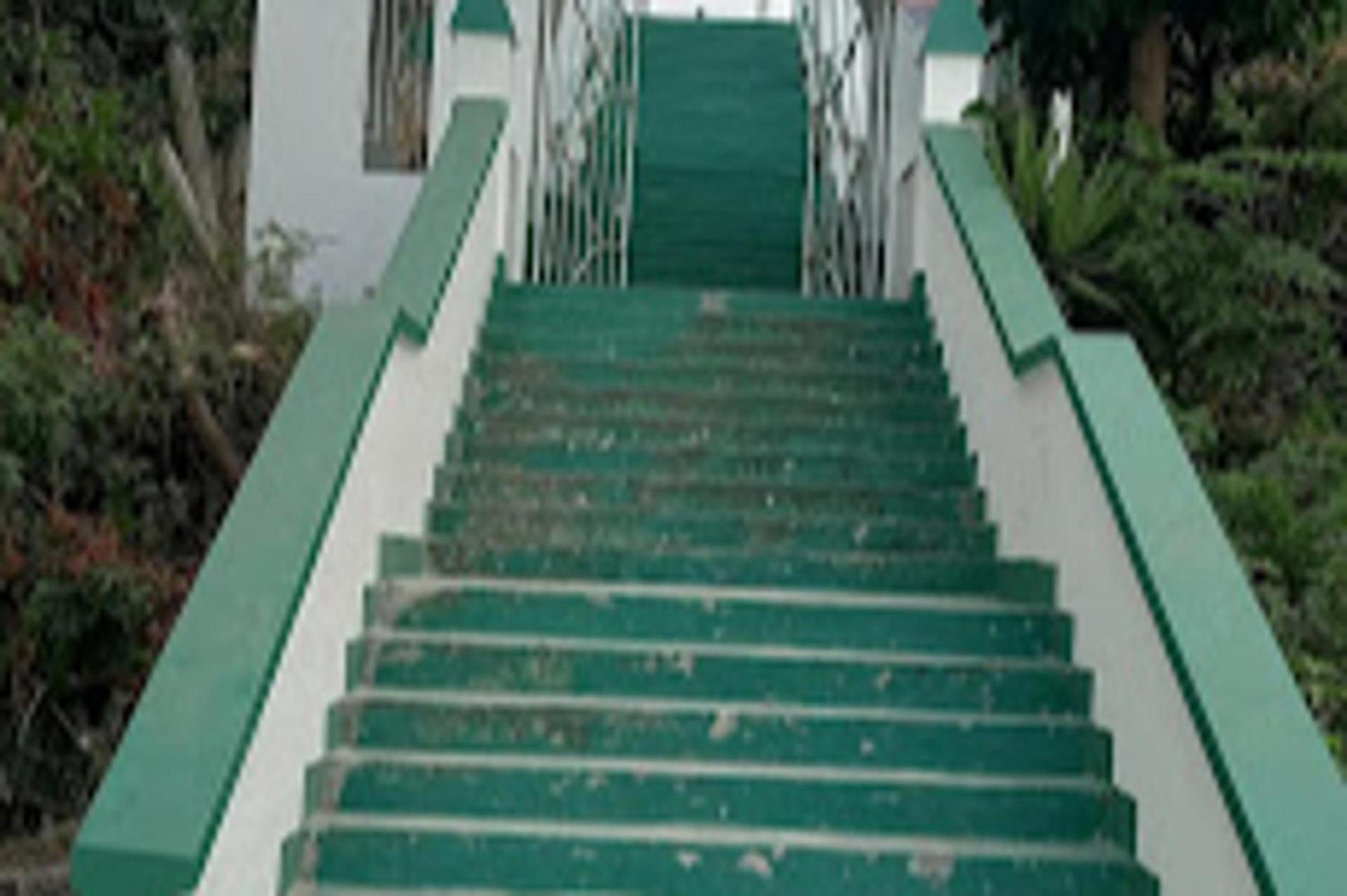 Photo 29