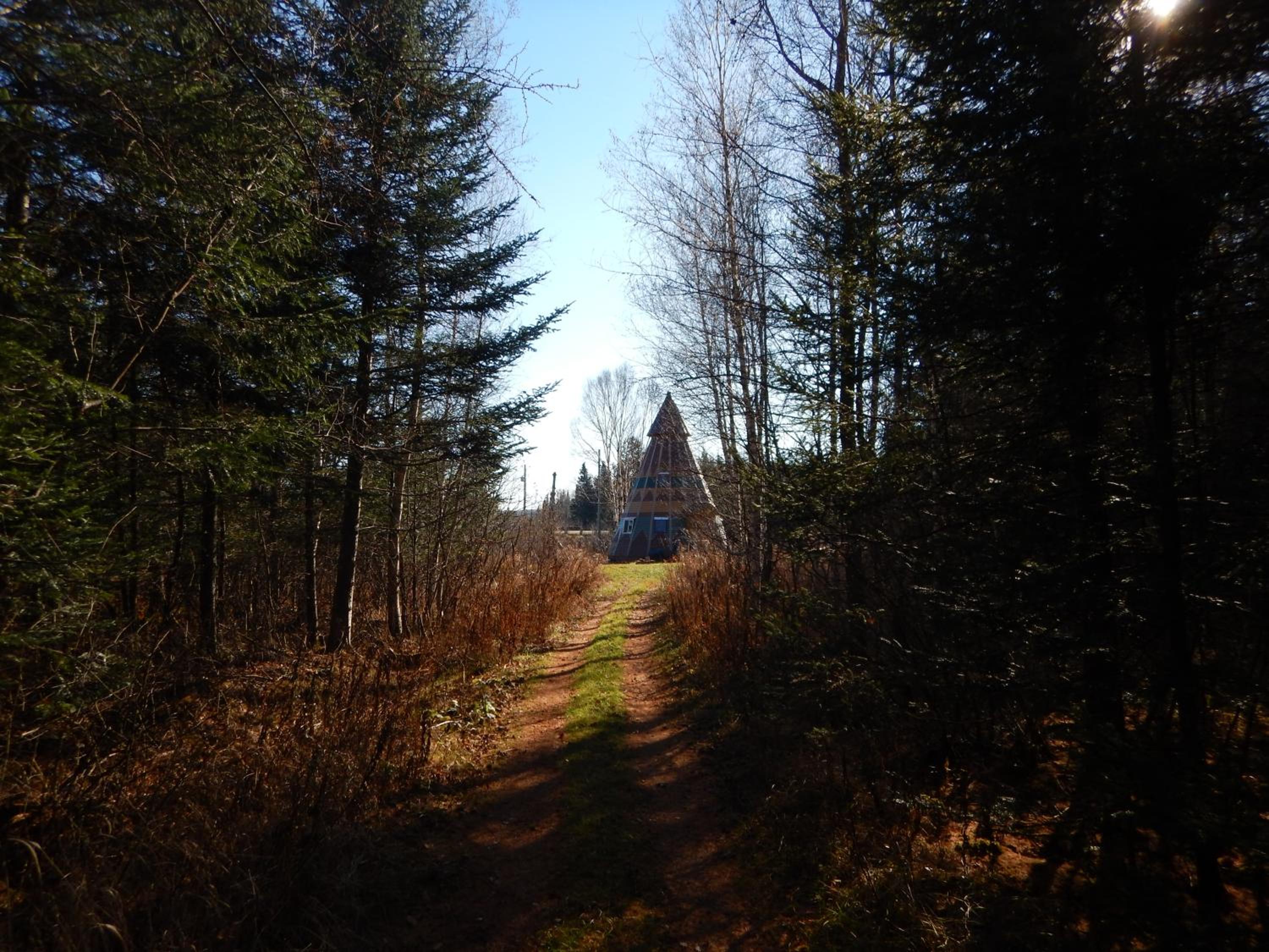 Photo 43