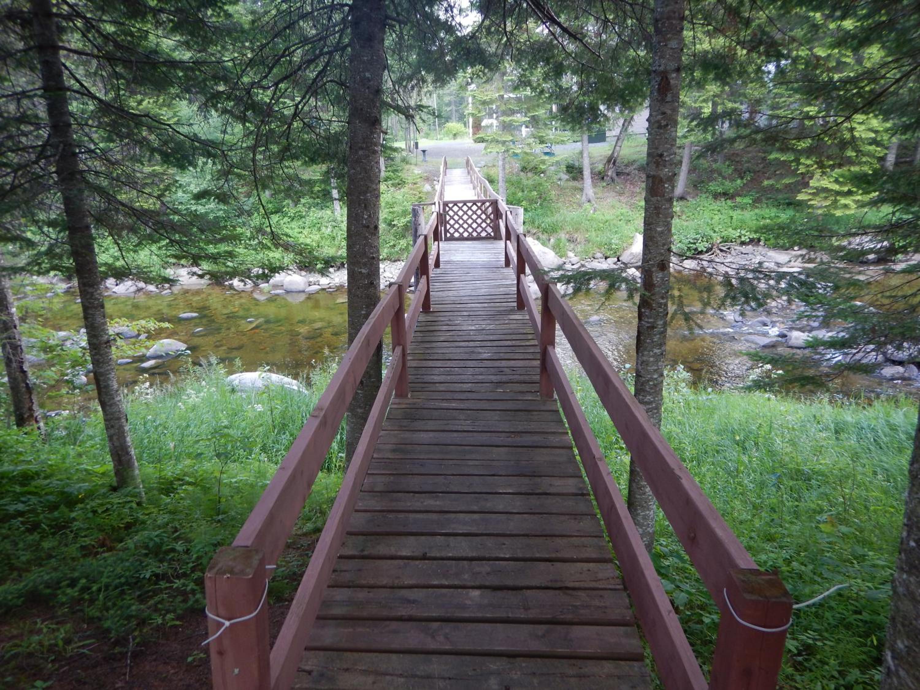Photo 46