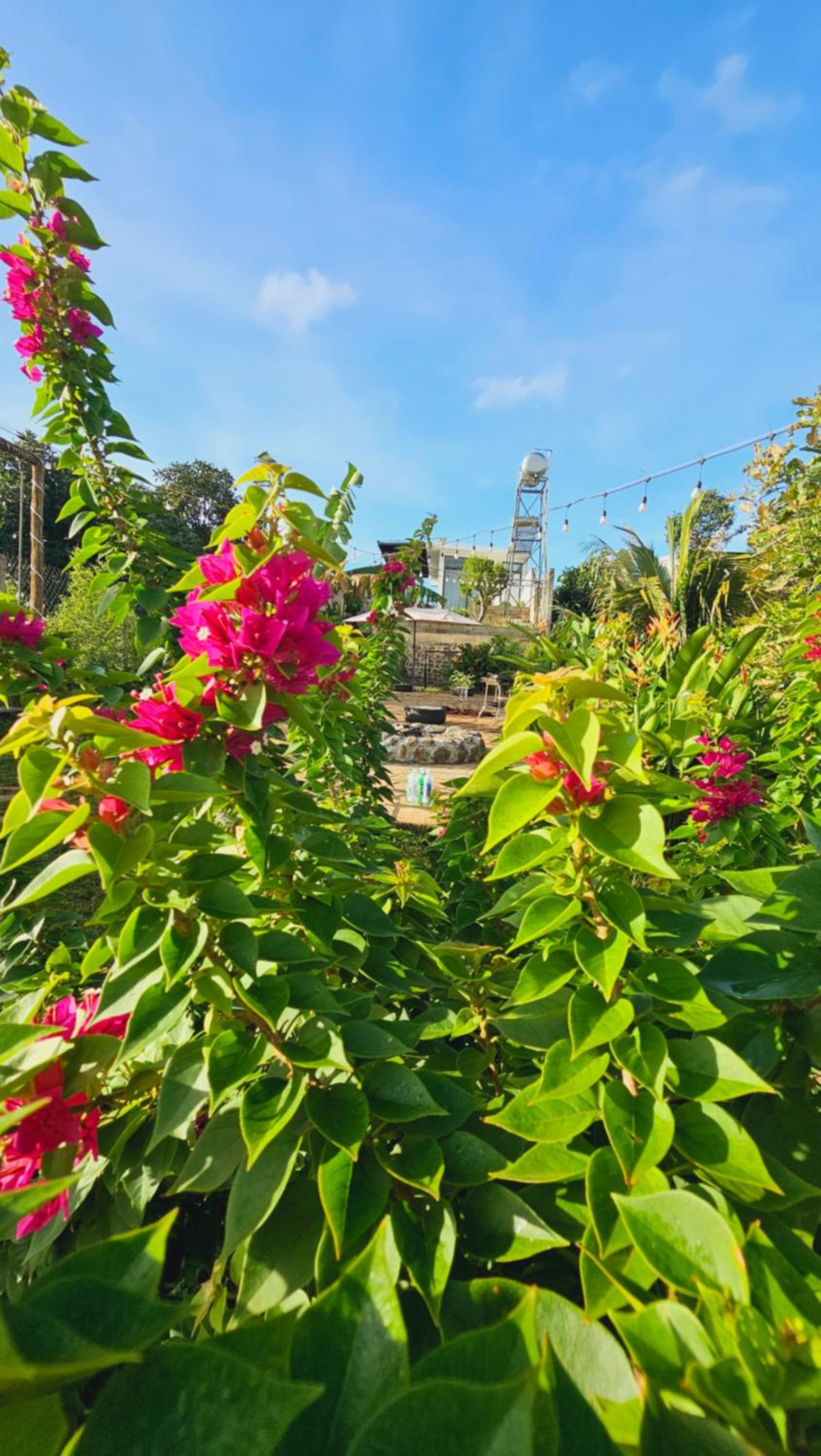 Cola House Nhà Nghỉ Dưỡng Nguyên Căn view 5