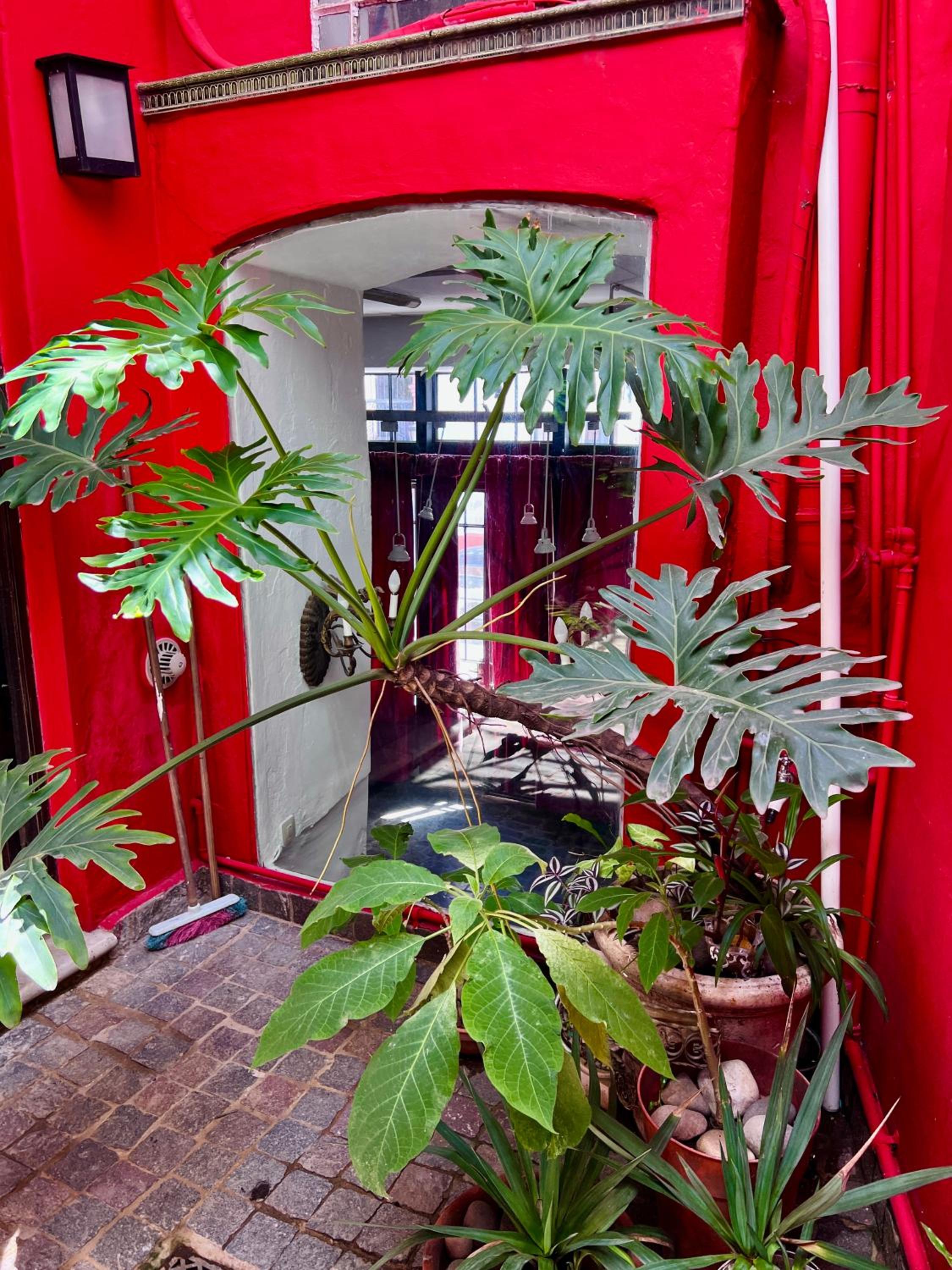 Artist' s House in the heart of San Telmo
