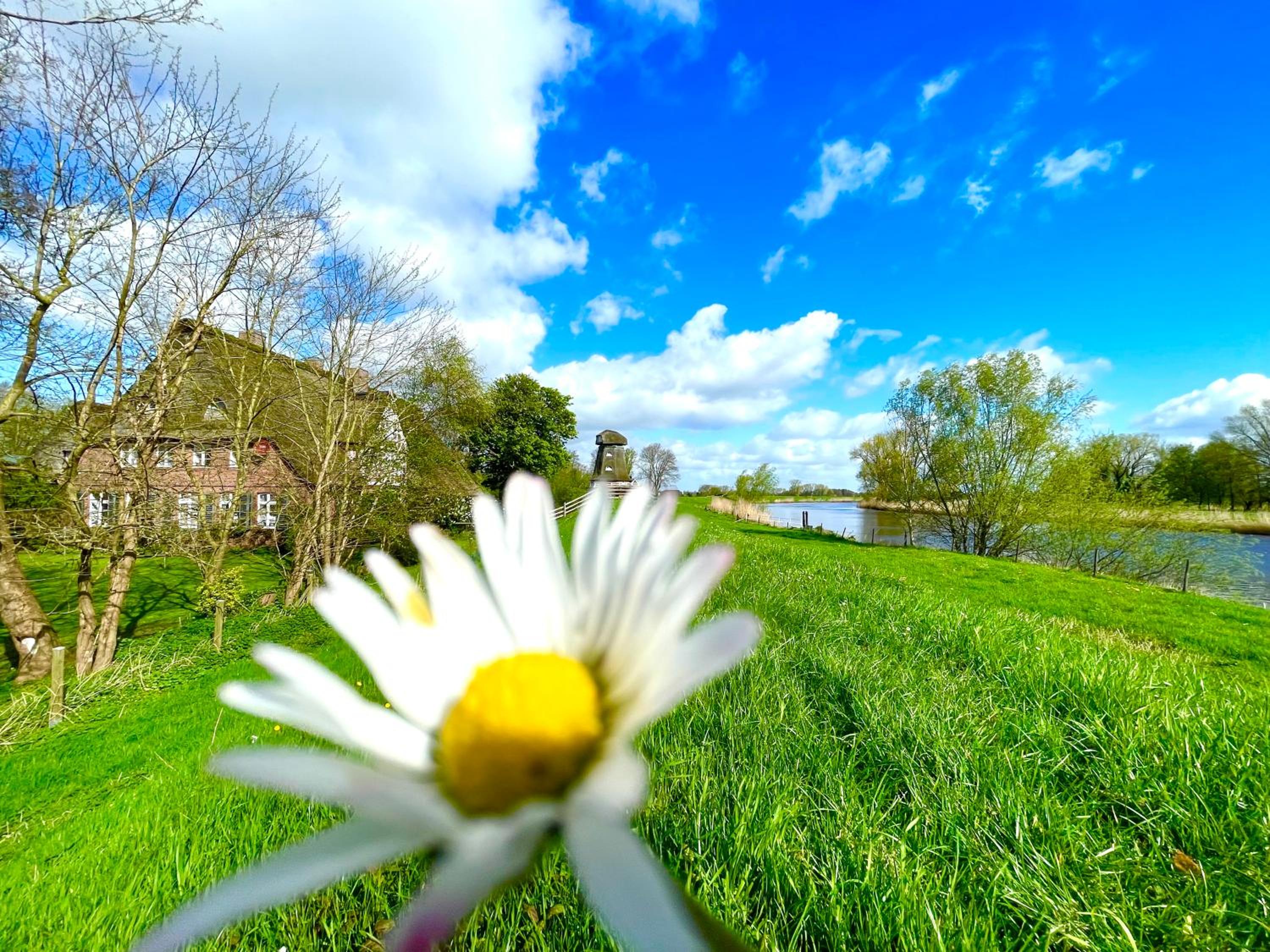 Luxus-Landhaus Nordsee, Sommer-Pool, Kaminofen, große Terrasse, Grill, 2 Schlafzimmer, Küche, Bad, WLAN,