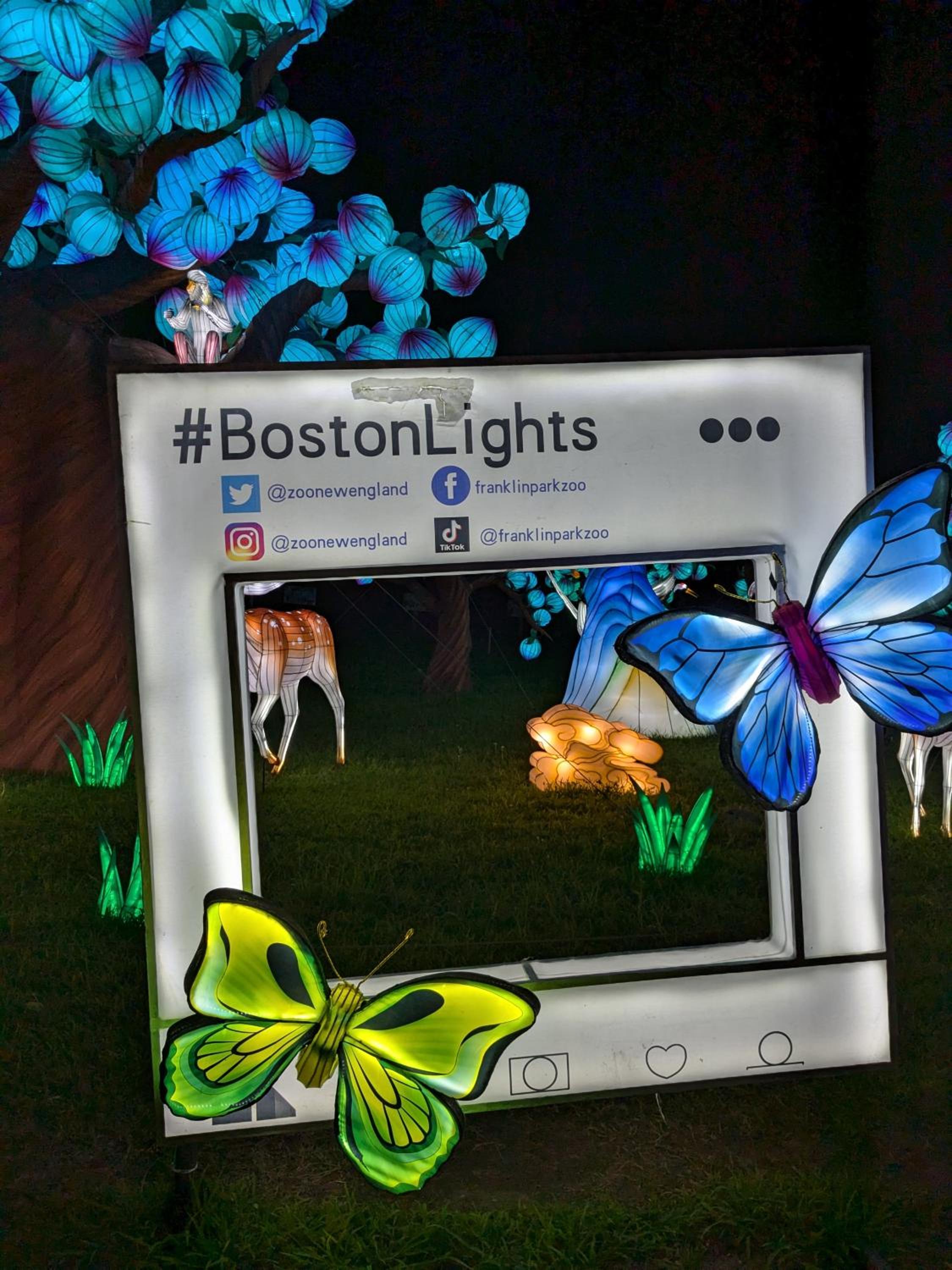 Boston Homestel photo 53 of 56
