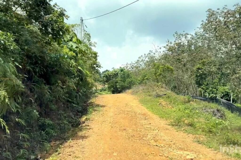 Nature Stay at Shah Alam with 4 bedroom 4 bathroom photo 3