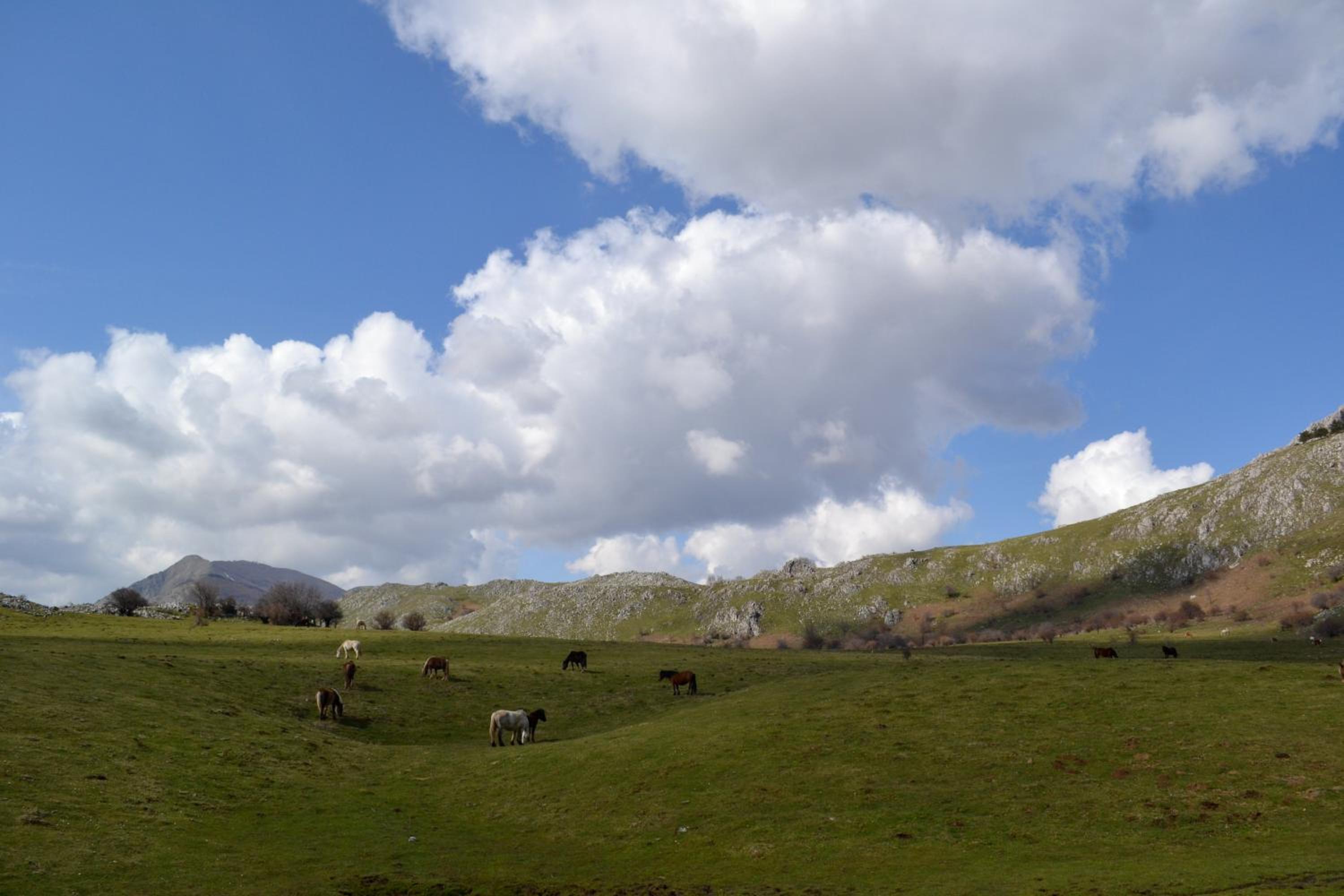 Azienda Agricola Il Querceto