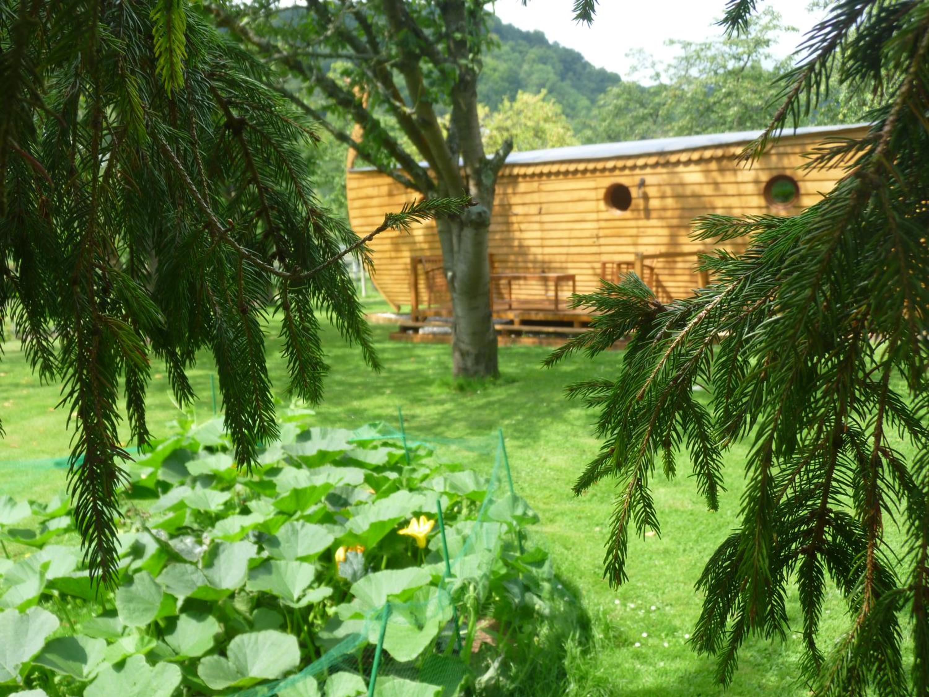 Photo 11