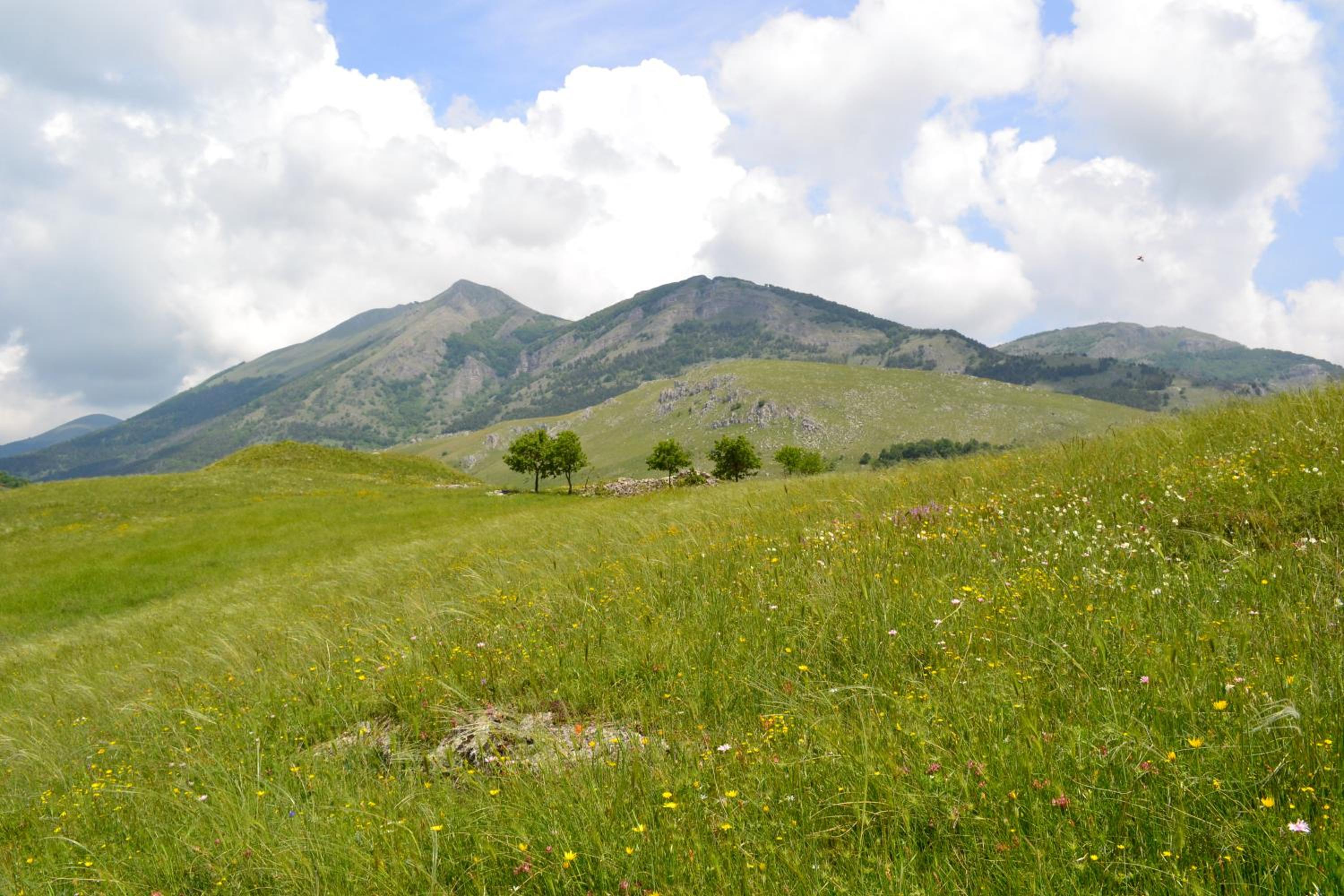 Azienda Agricola Il Querceto