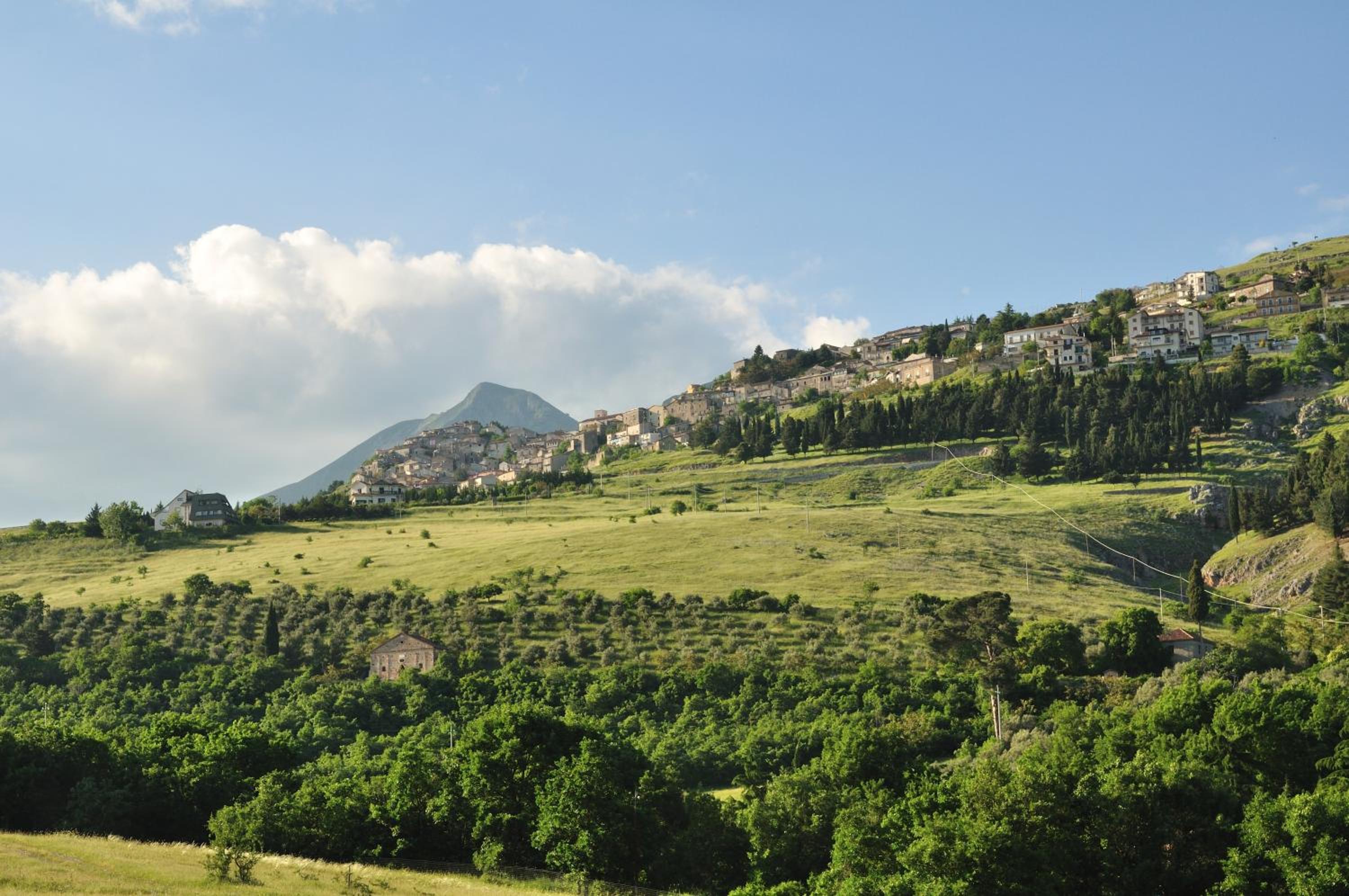 Azienda Agricola Il Querceto