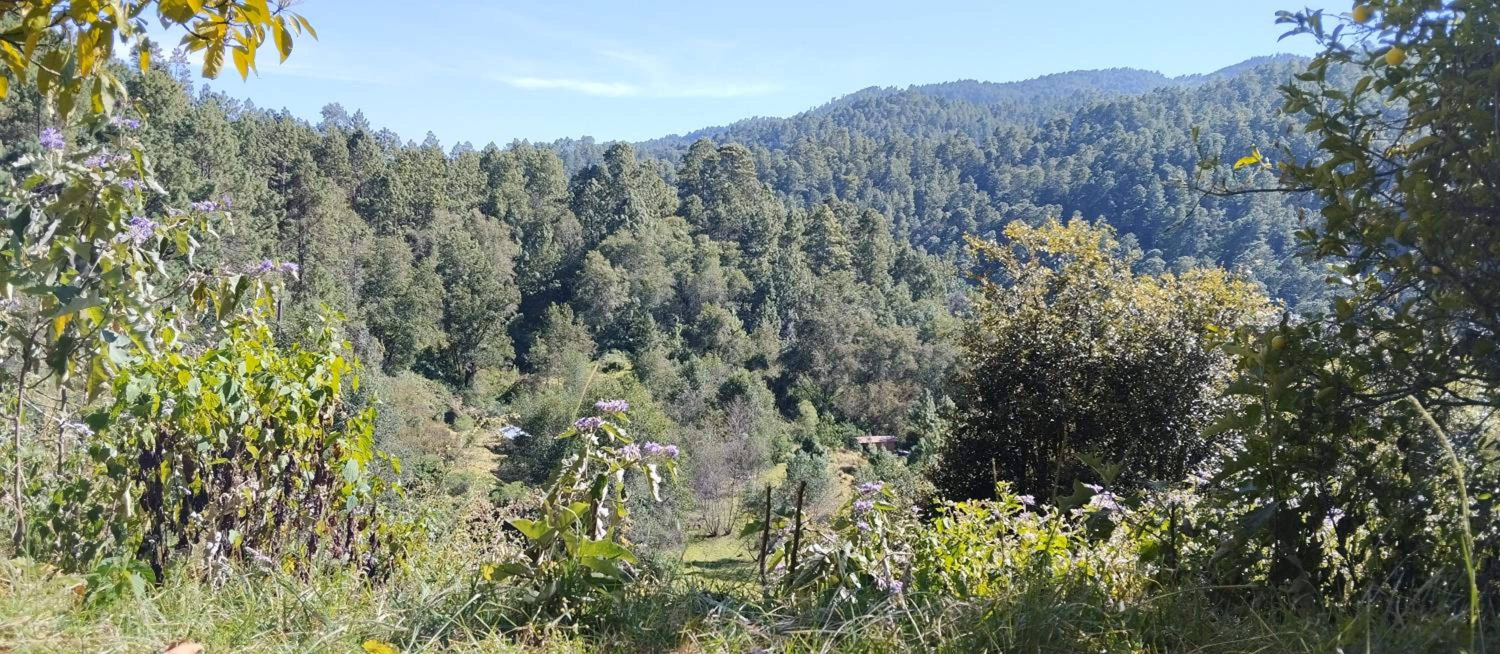 Digital detox view 4