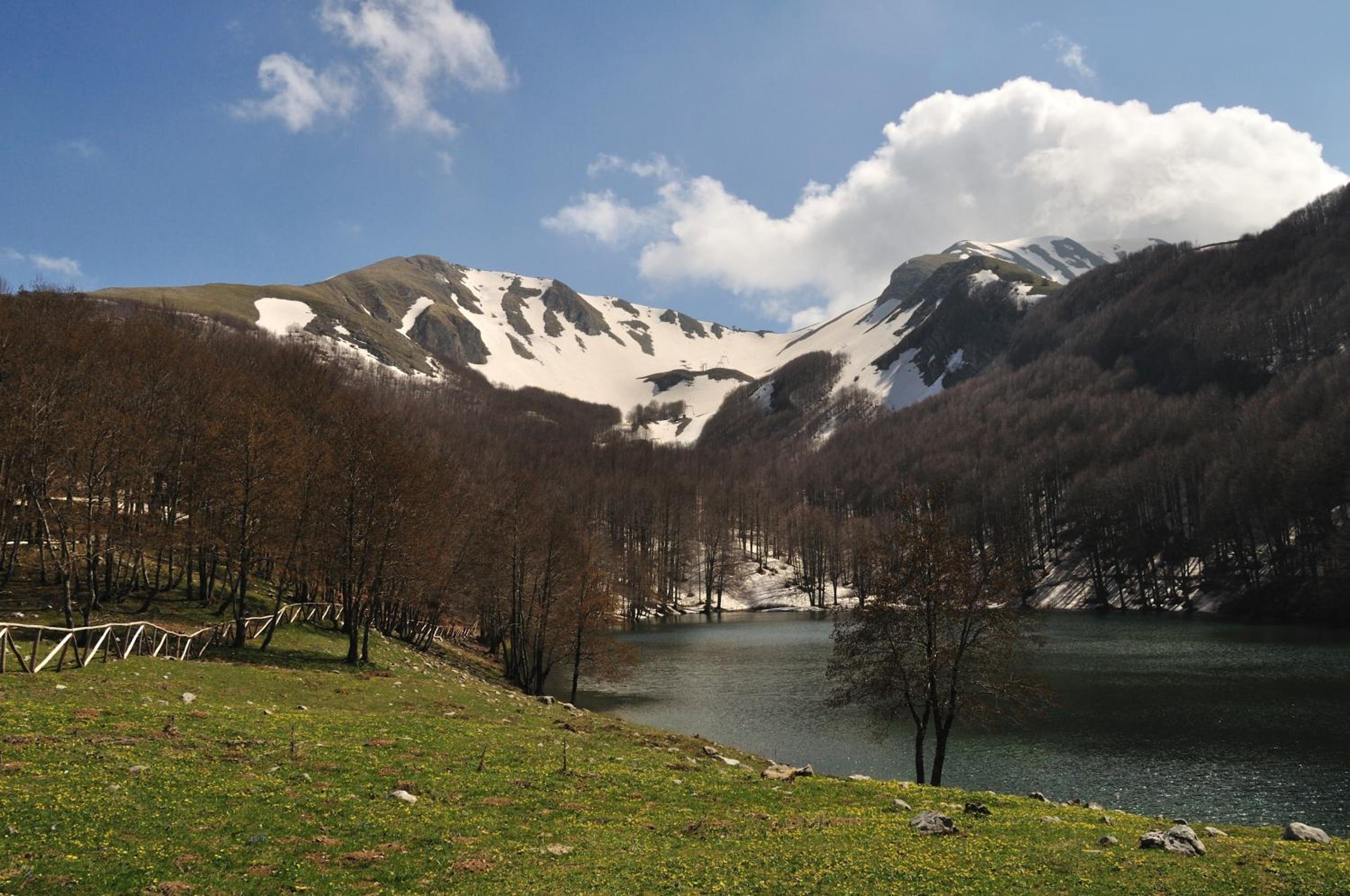 Azienda Agricola Il Querceto