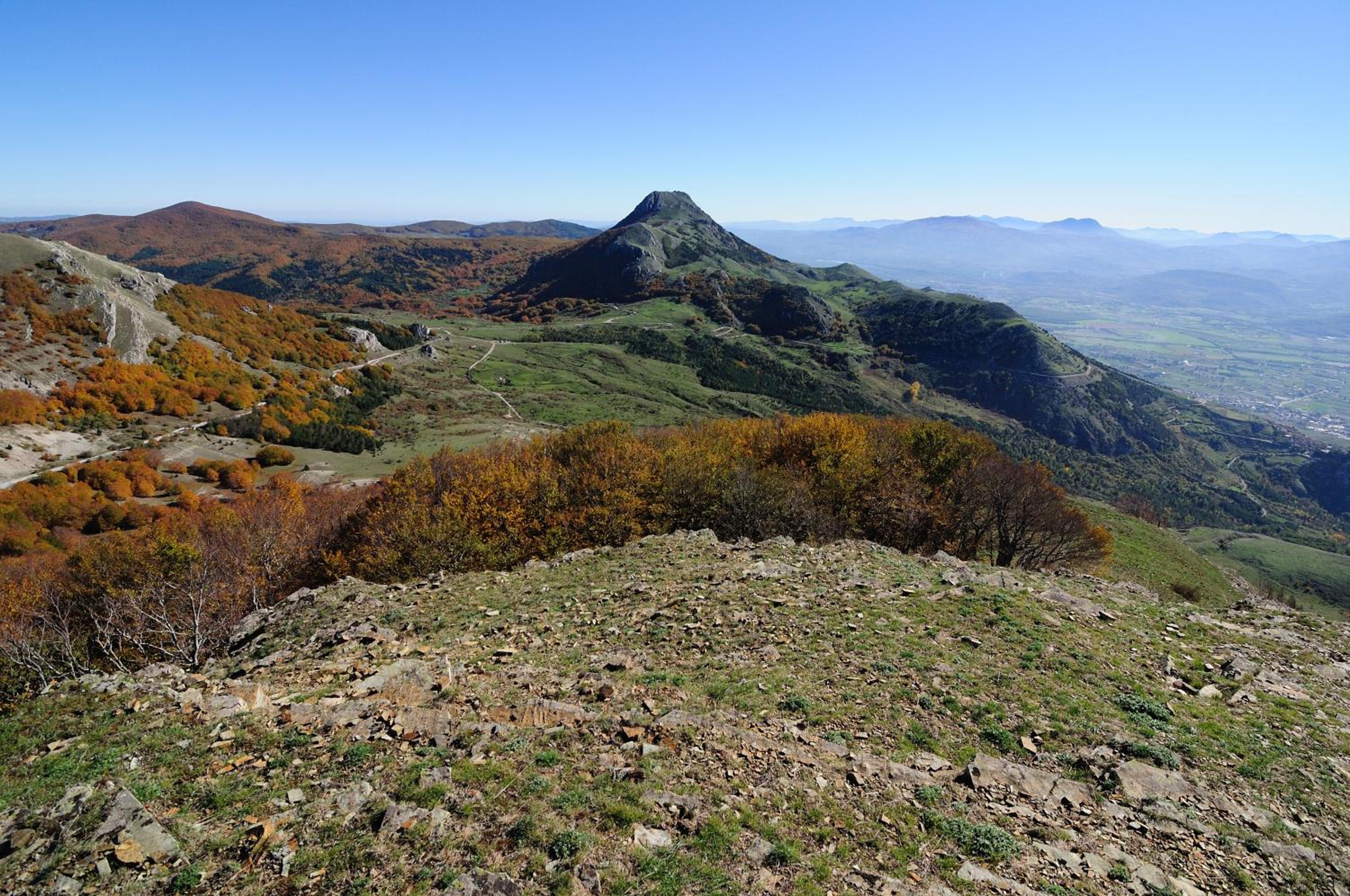Azienda Agricola Il Querceto