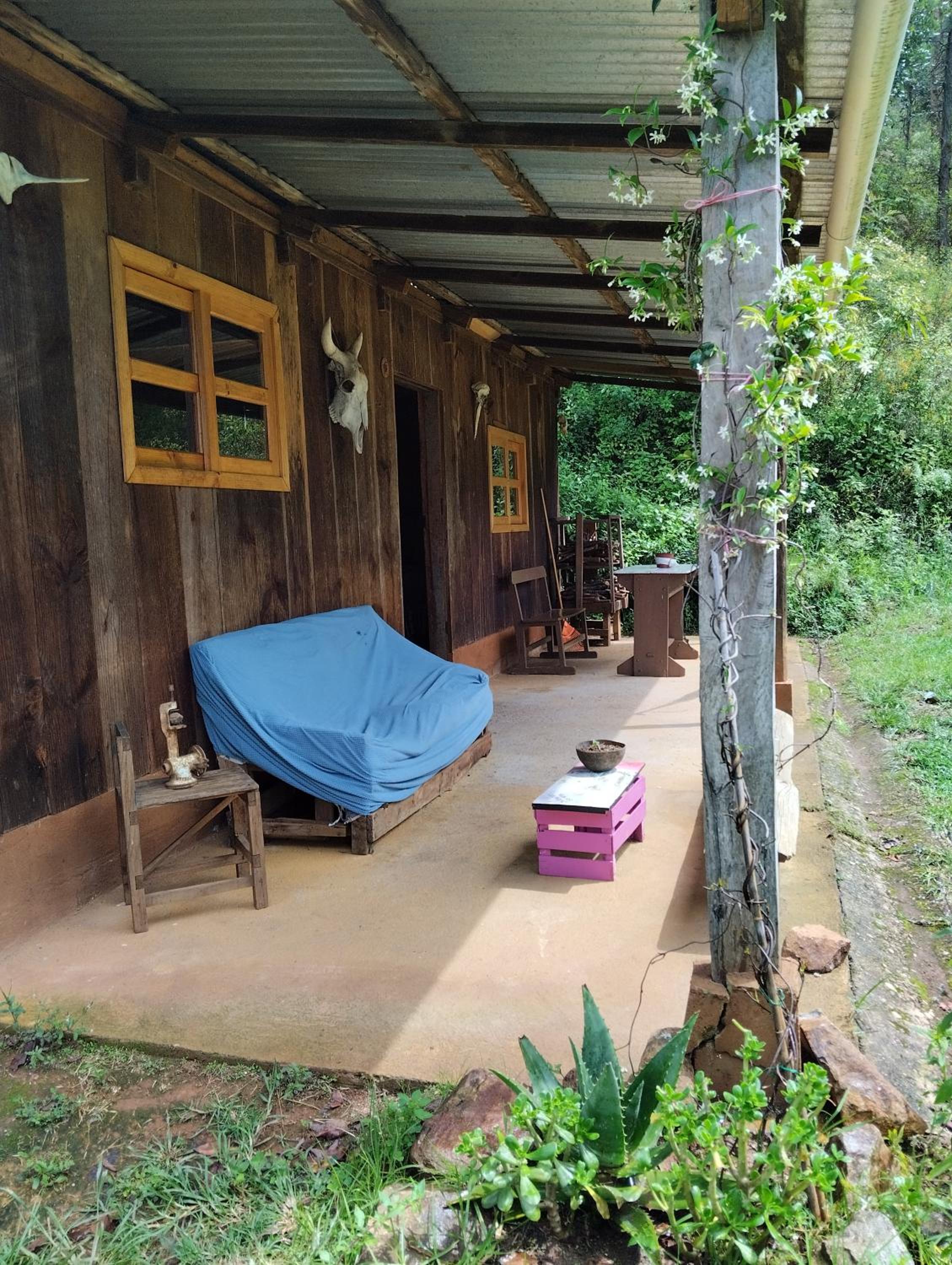 Digital detox view 2