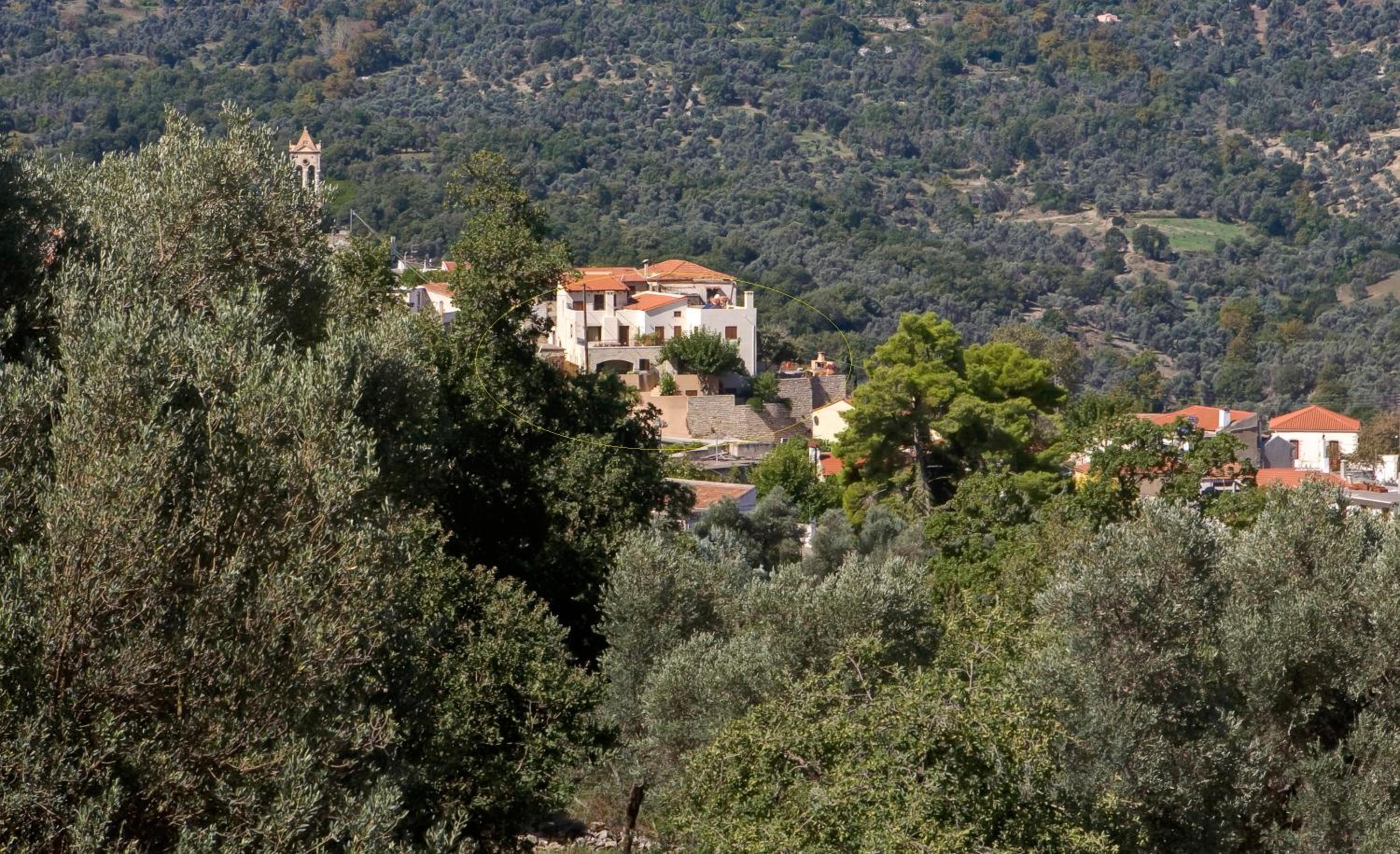 Photo 27